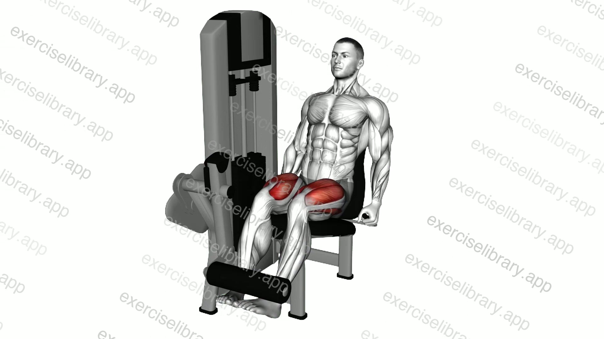 Lever Leg Extension demonstration