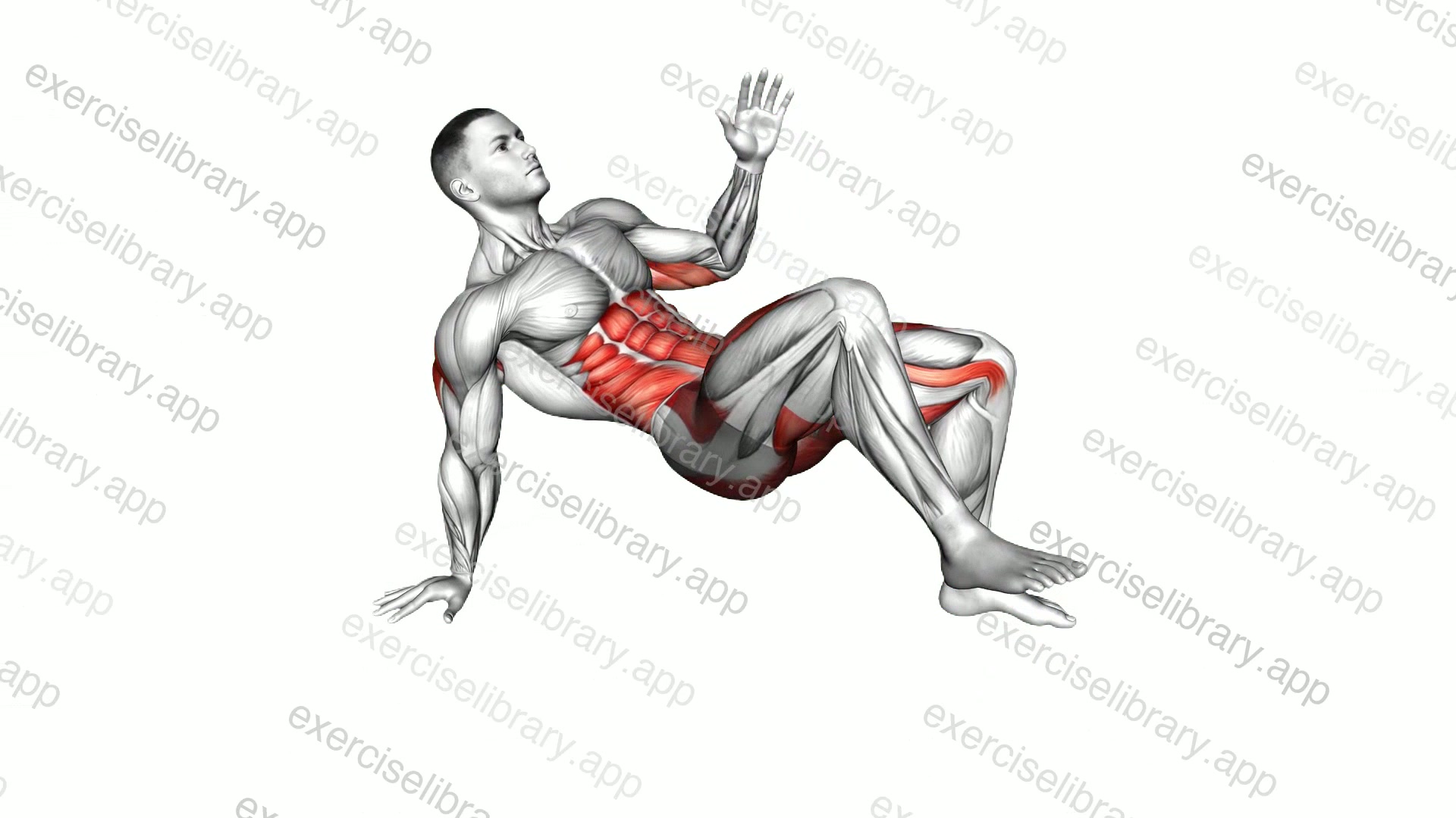 Crab Knee to Elbow demonstration