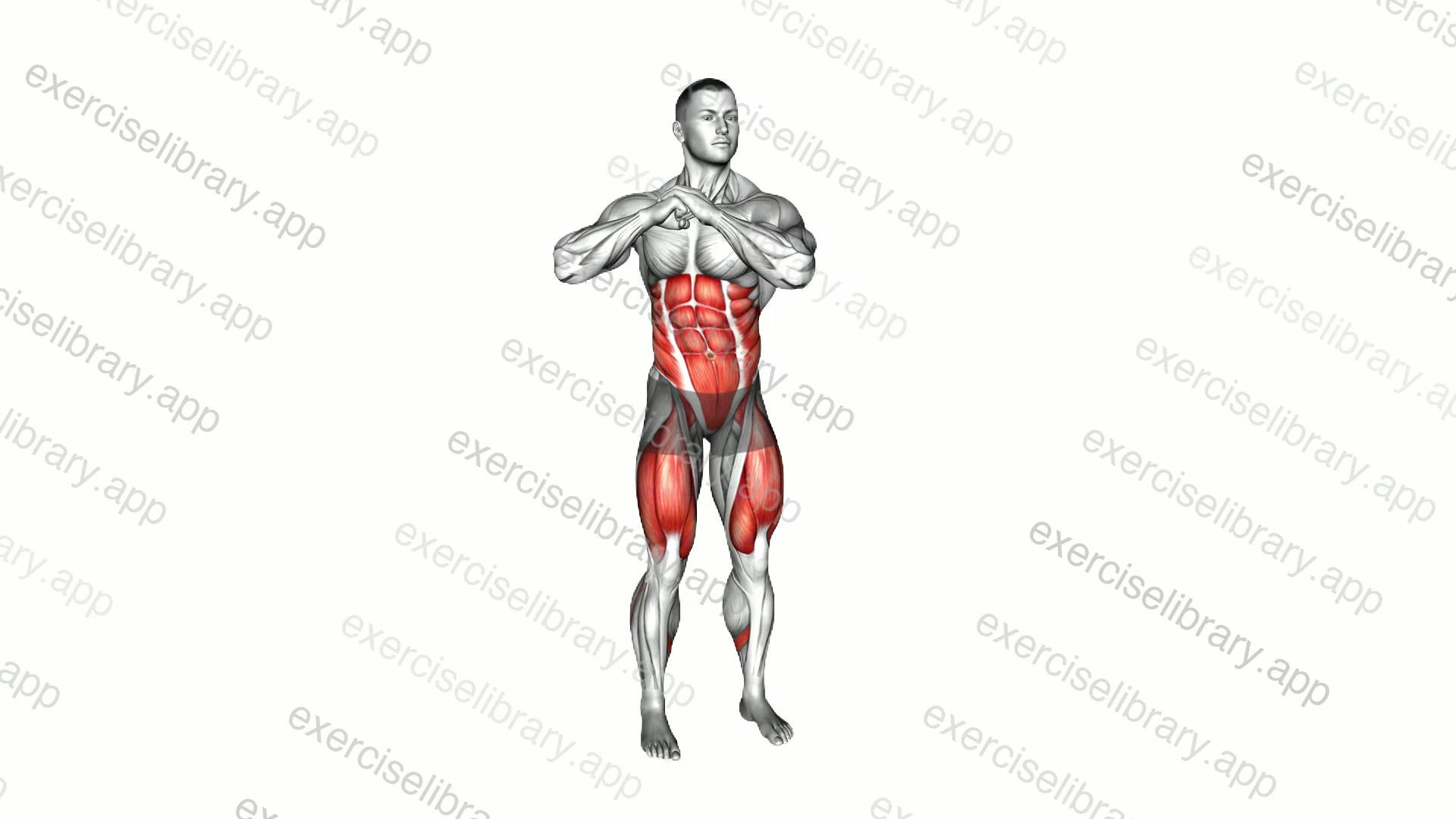 Standing Turn and Knee Raise demonstration