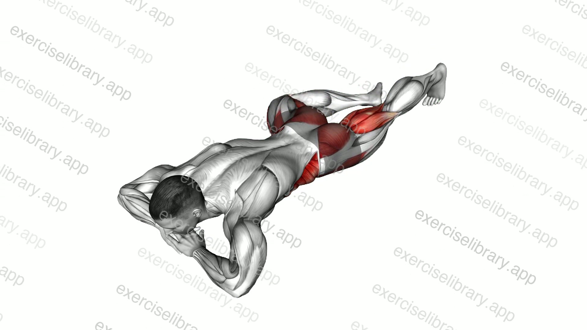 Lying Spiderman Crawl demonstration