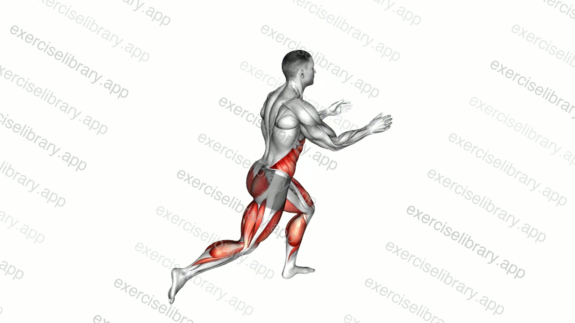 Reverse Lunge Knee Drive demonstration