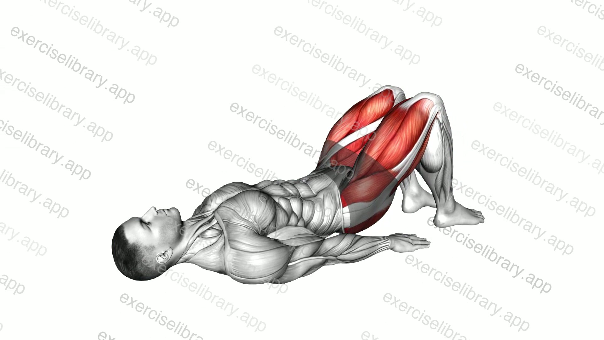 Glute Bridge Hip Abduction demonstration