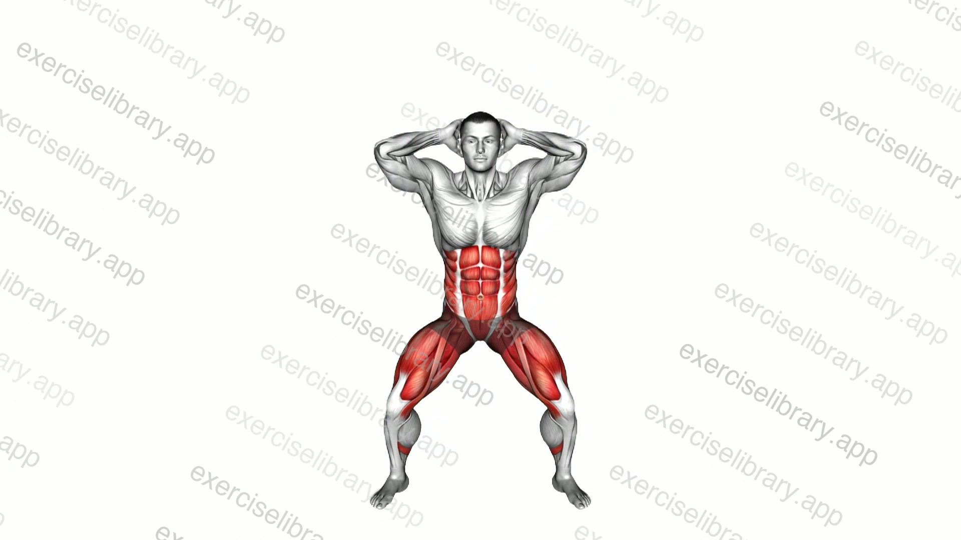 Side Crunch Squat demonstration