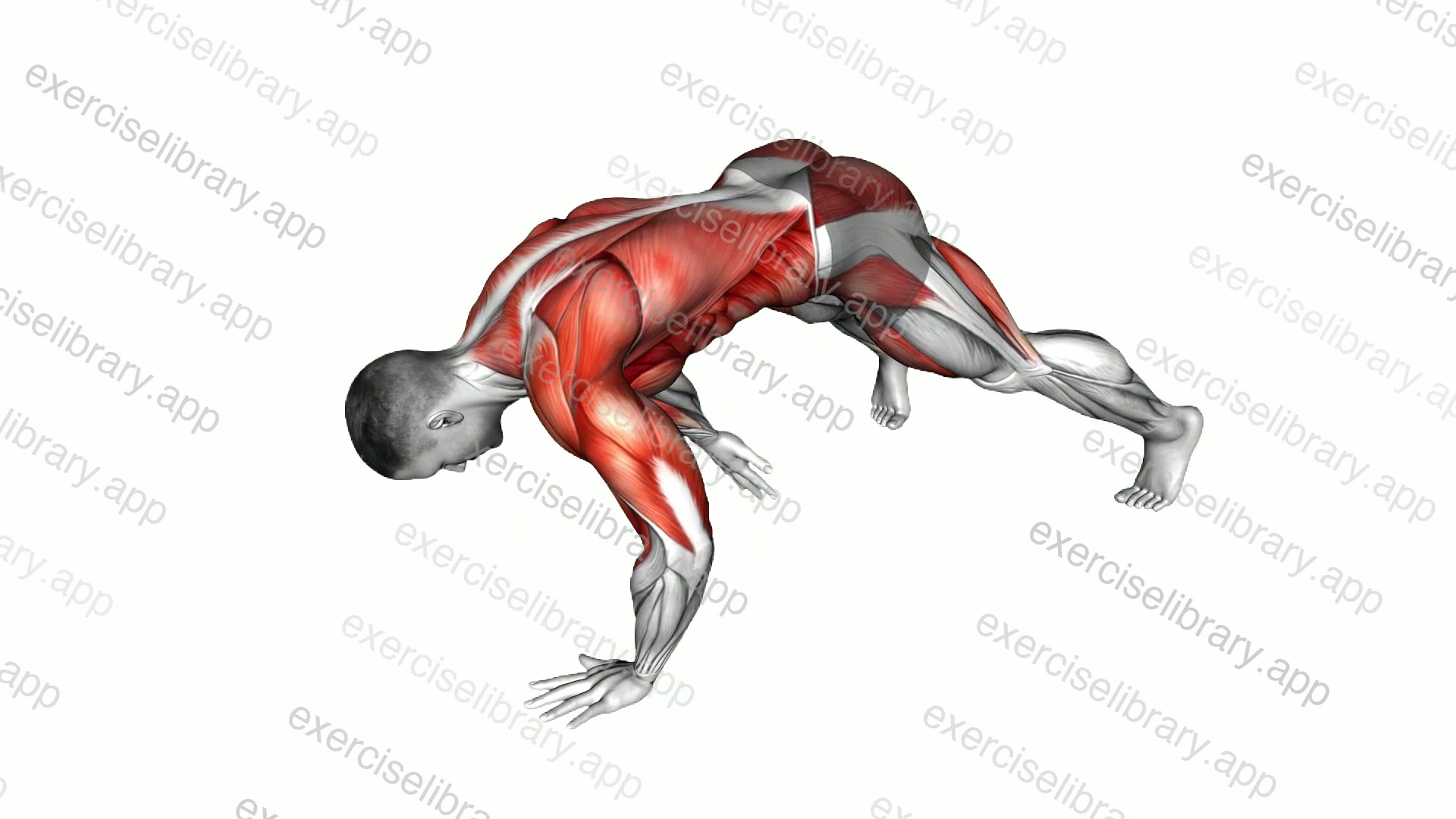 Wide Plank Side Tap demonstration