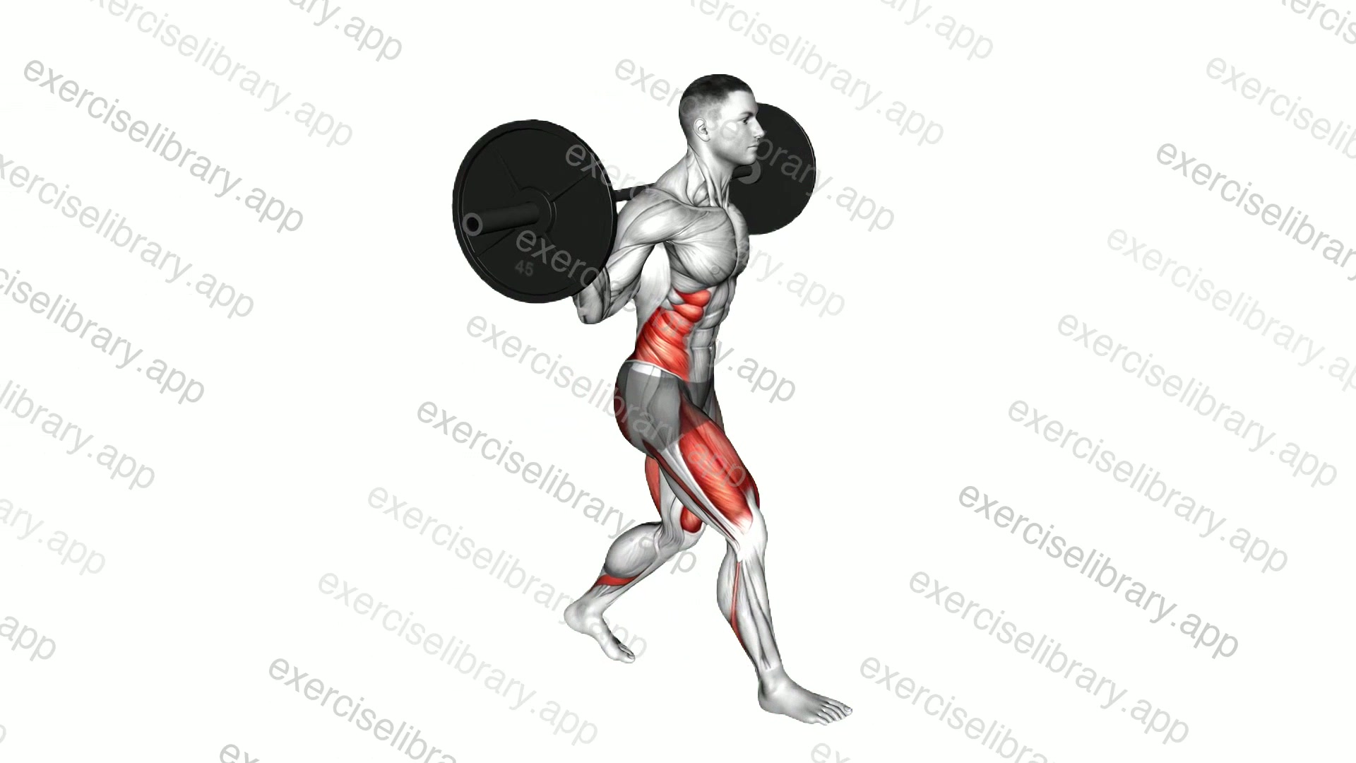 Barbell Lunge Twist demonstration