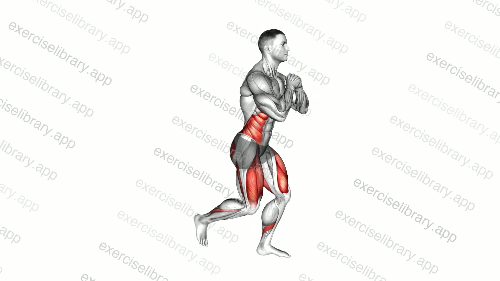 Bodyweight Rear Lunge Twist demonstration