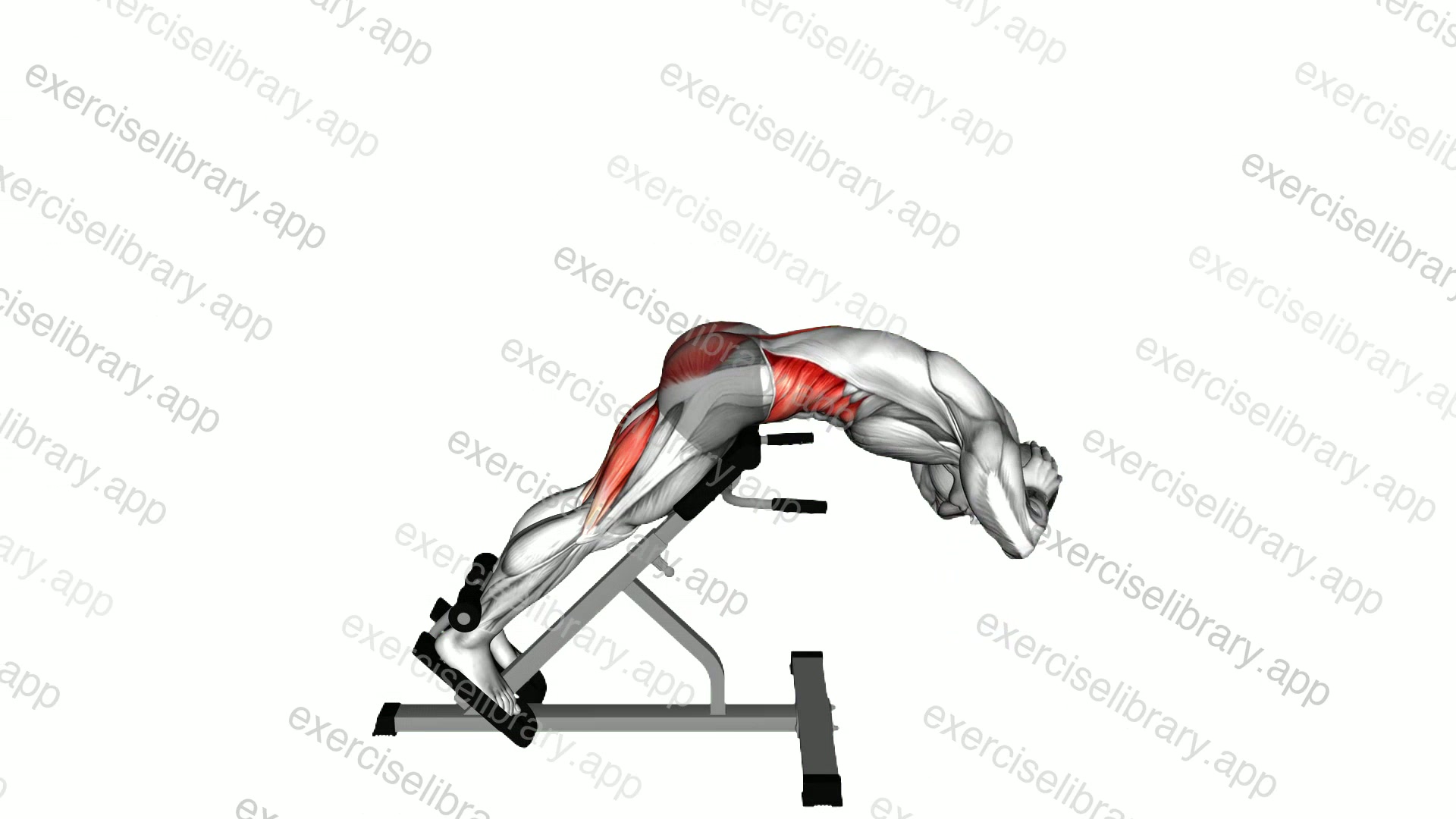 45 degrees Twisting Hyperextension demonstration