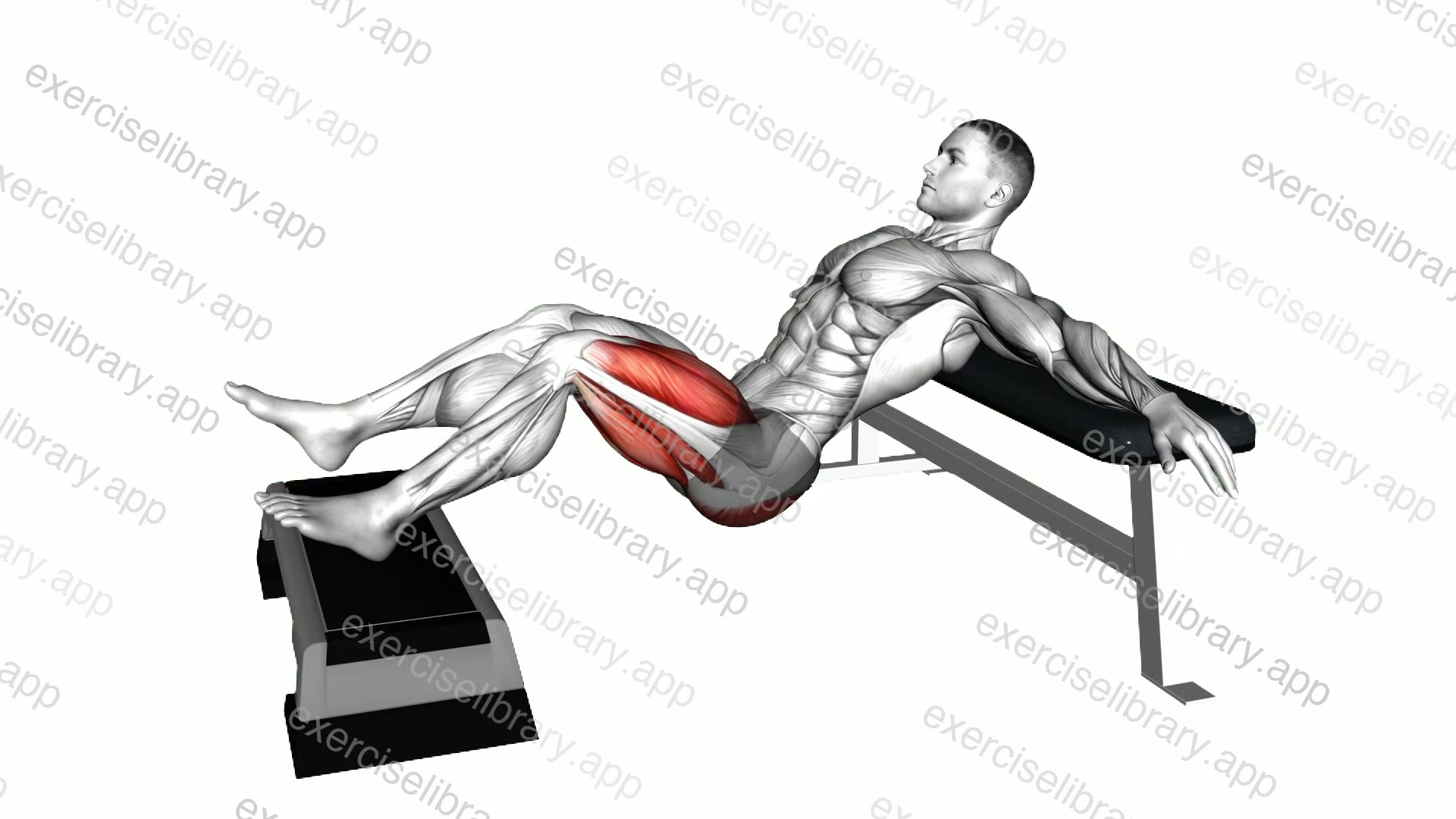 Elevated Single Leg Hip Thrust demonstration
