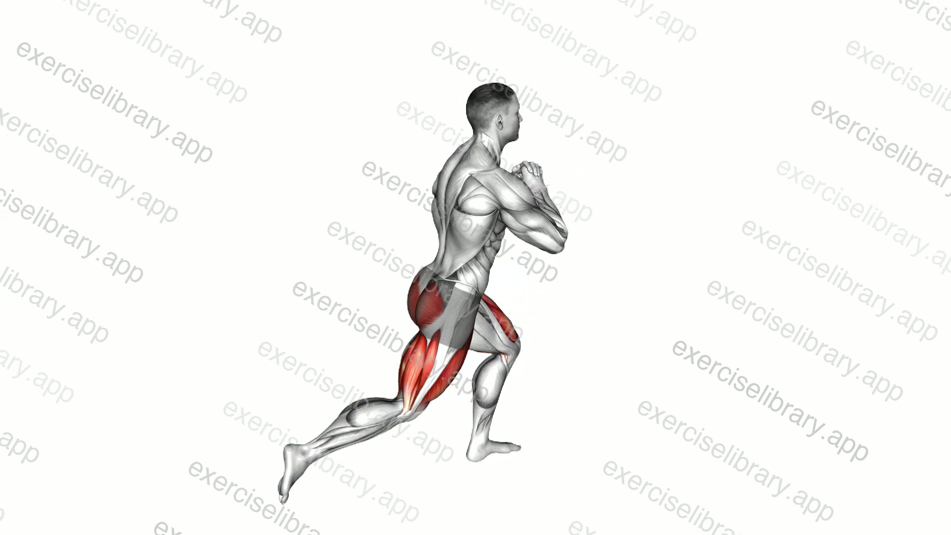 Reverse Lunge High Knee demonstration