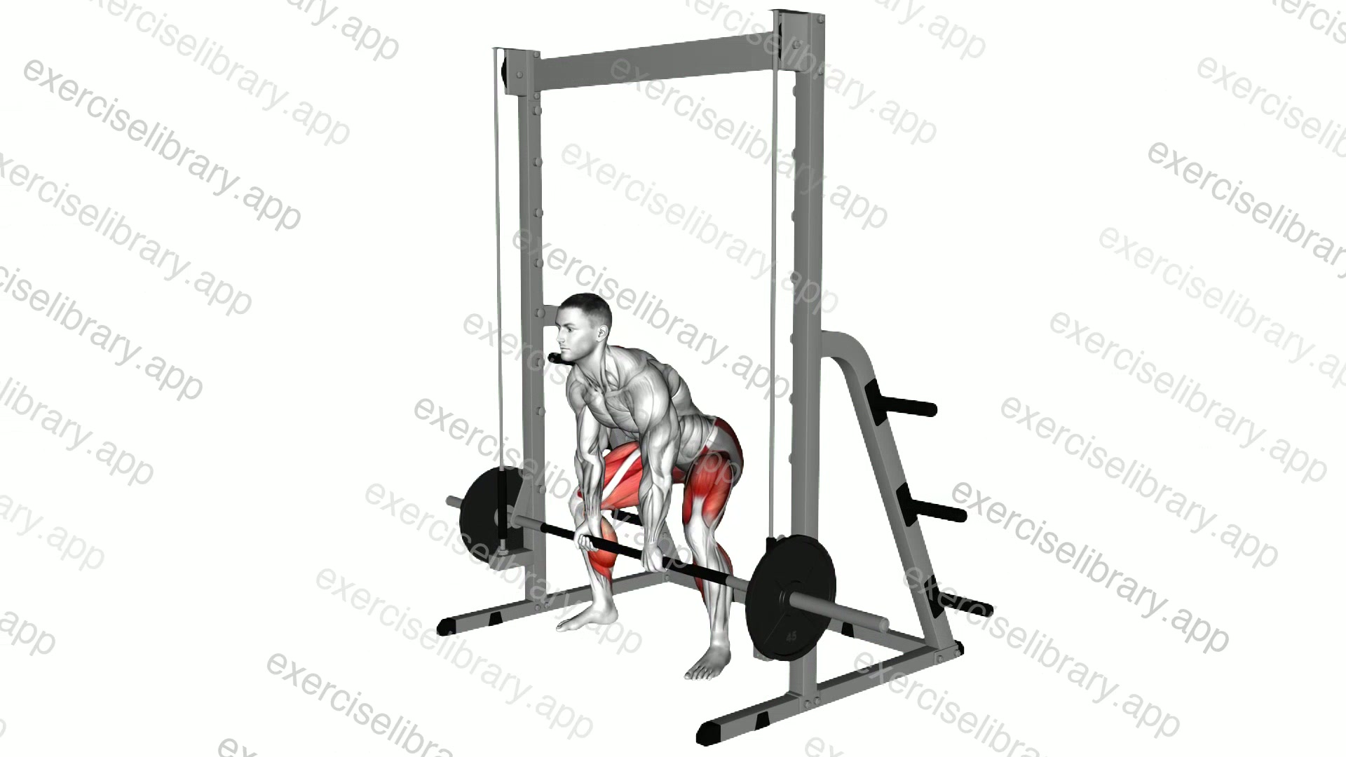 Smith Sumo Deadlift demonstration