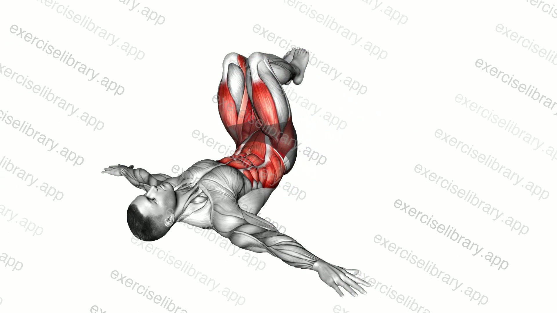 Lying Side Reverse Crunch demonstration