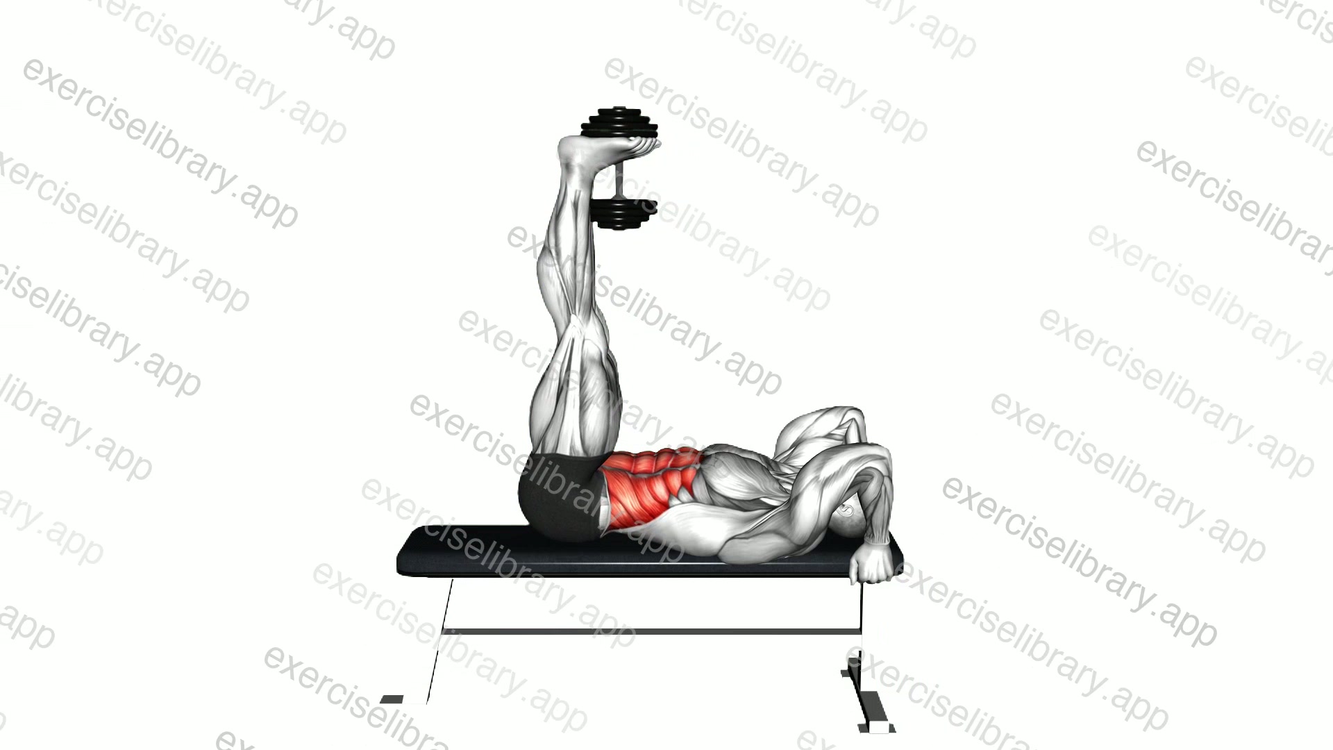 Weighted Dumbbell Lying Flat Hip Raise demonstration