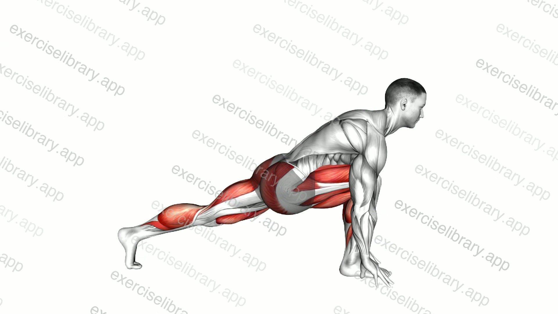High Lunge demonstration