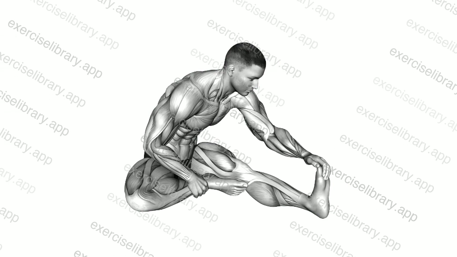 Seated Single Leg Hamstring Stretch demonstration