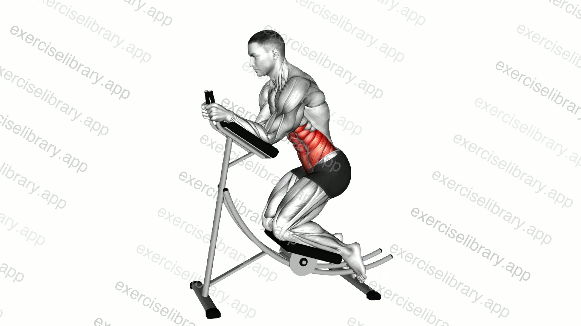 Lever Ab Coaster Crunch demonstration