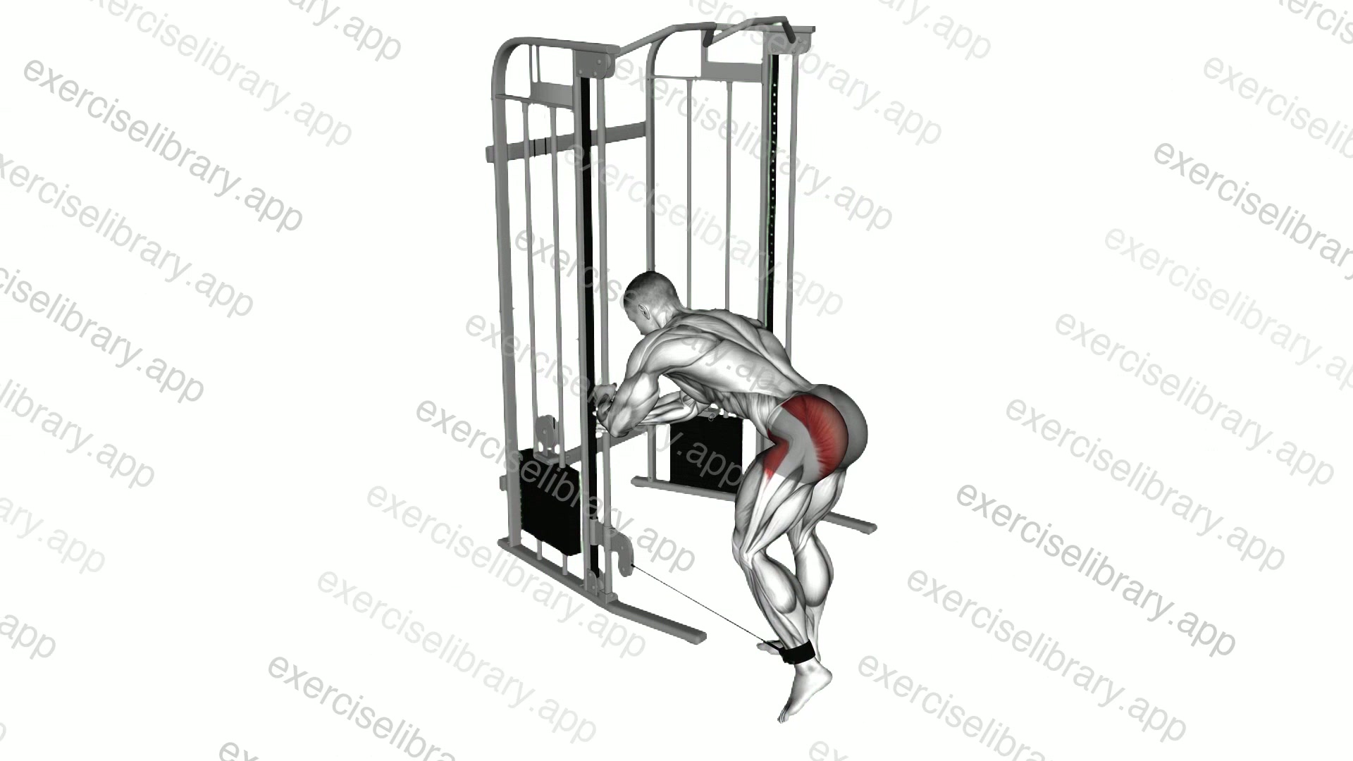 Cable Donkey Diagonal Kickback demonstration
