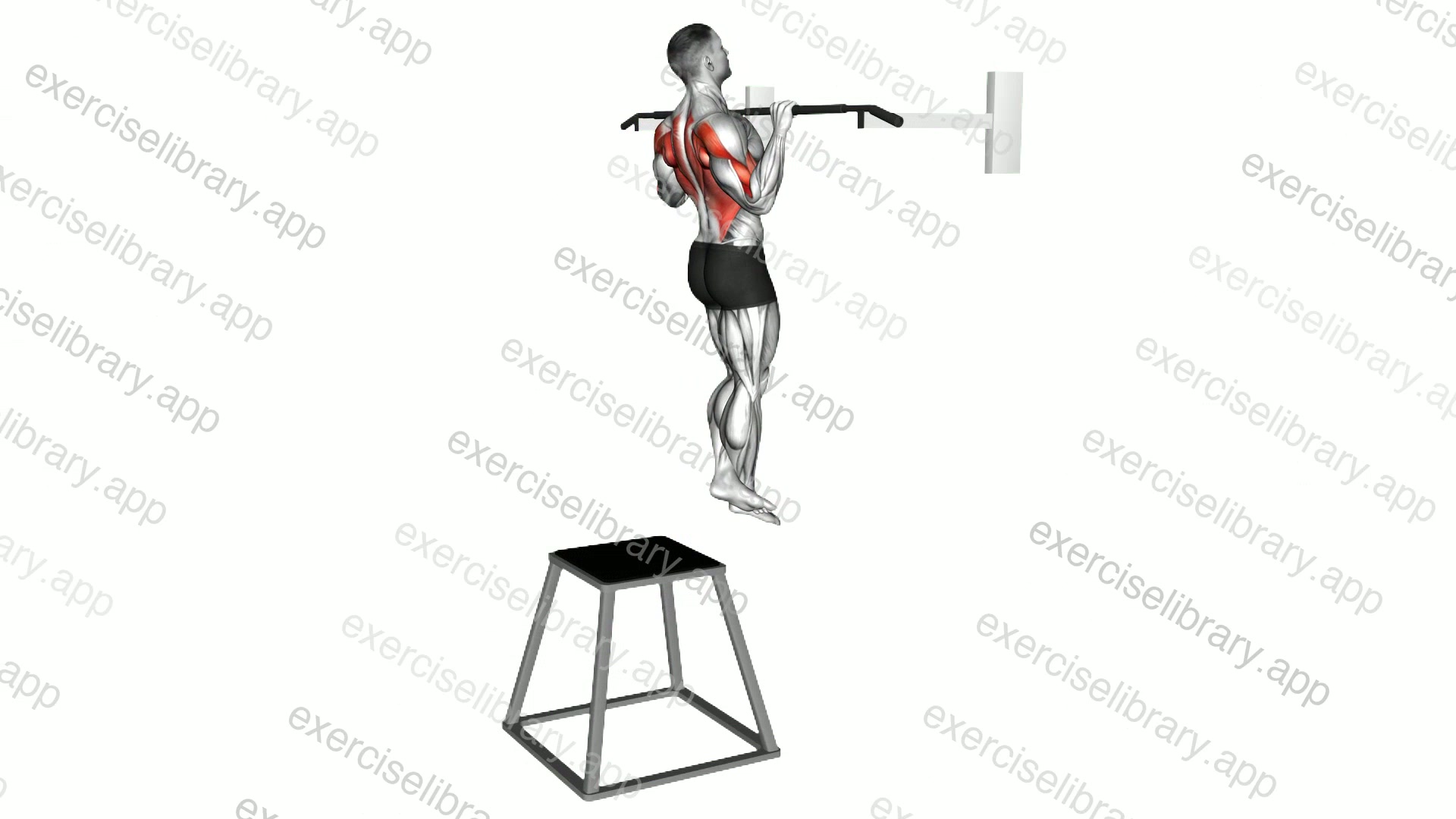 Pull-up demonstration