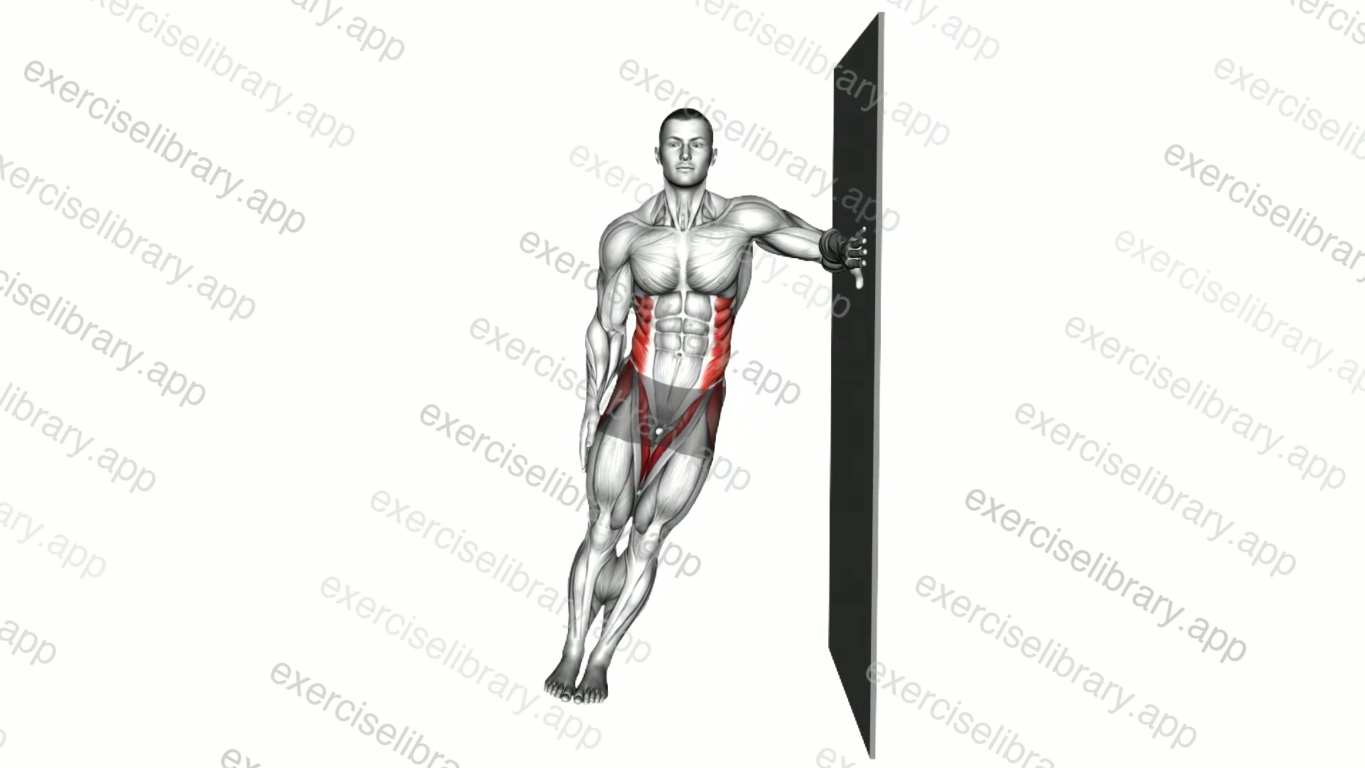 Side Wall Plank demonstration