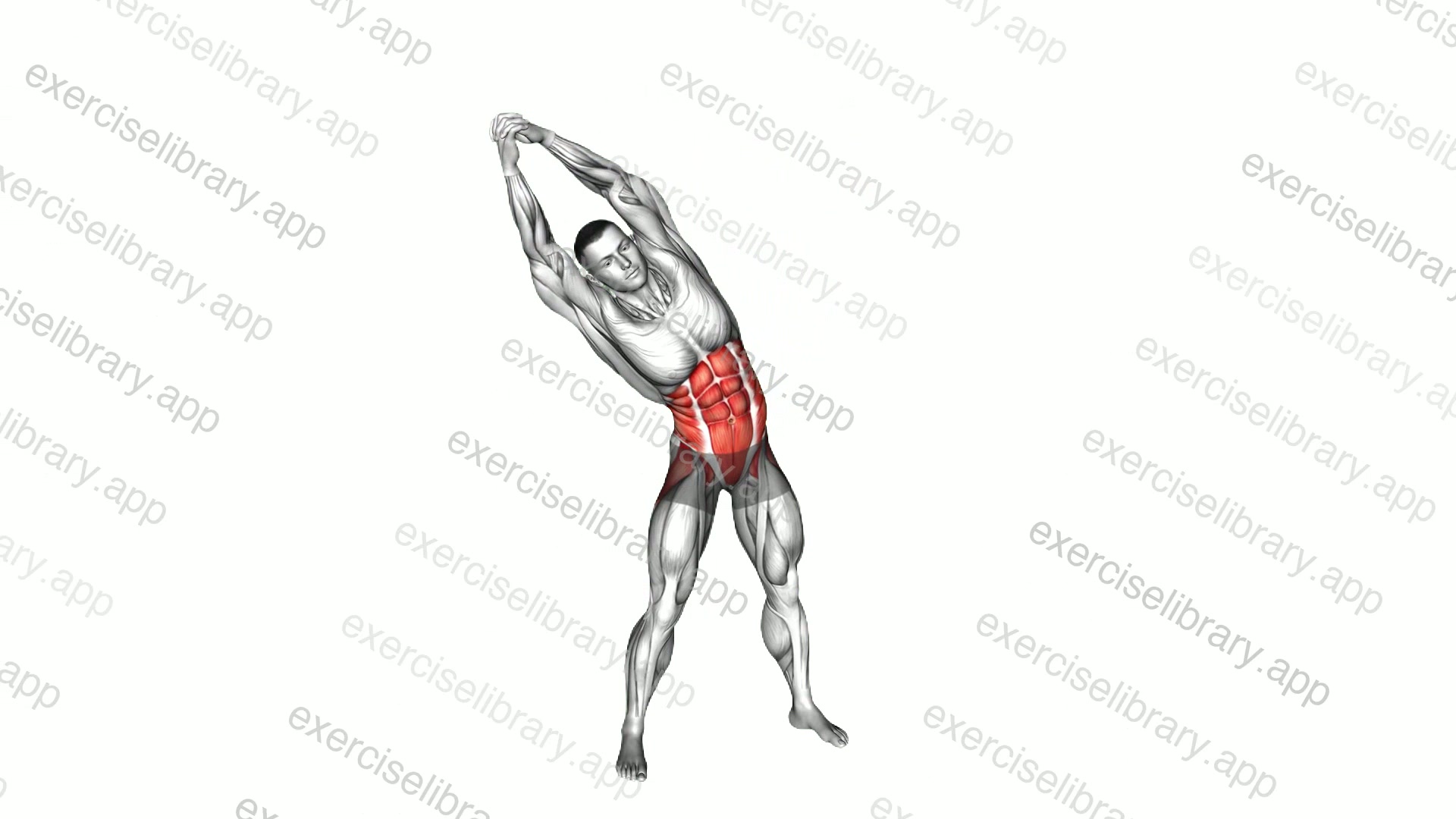 Standing Obliques Rotation demonstration