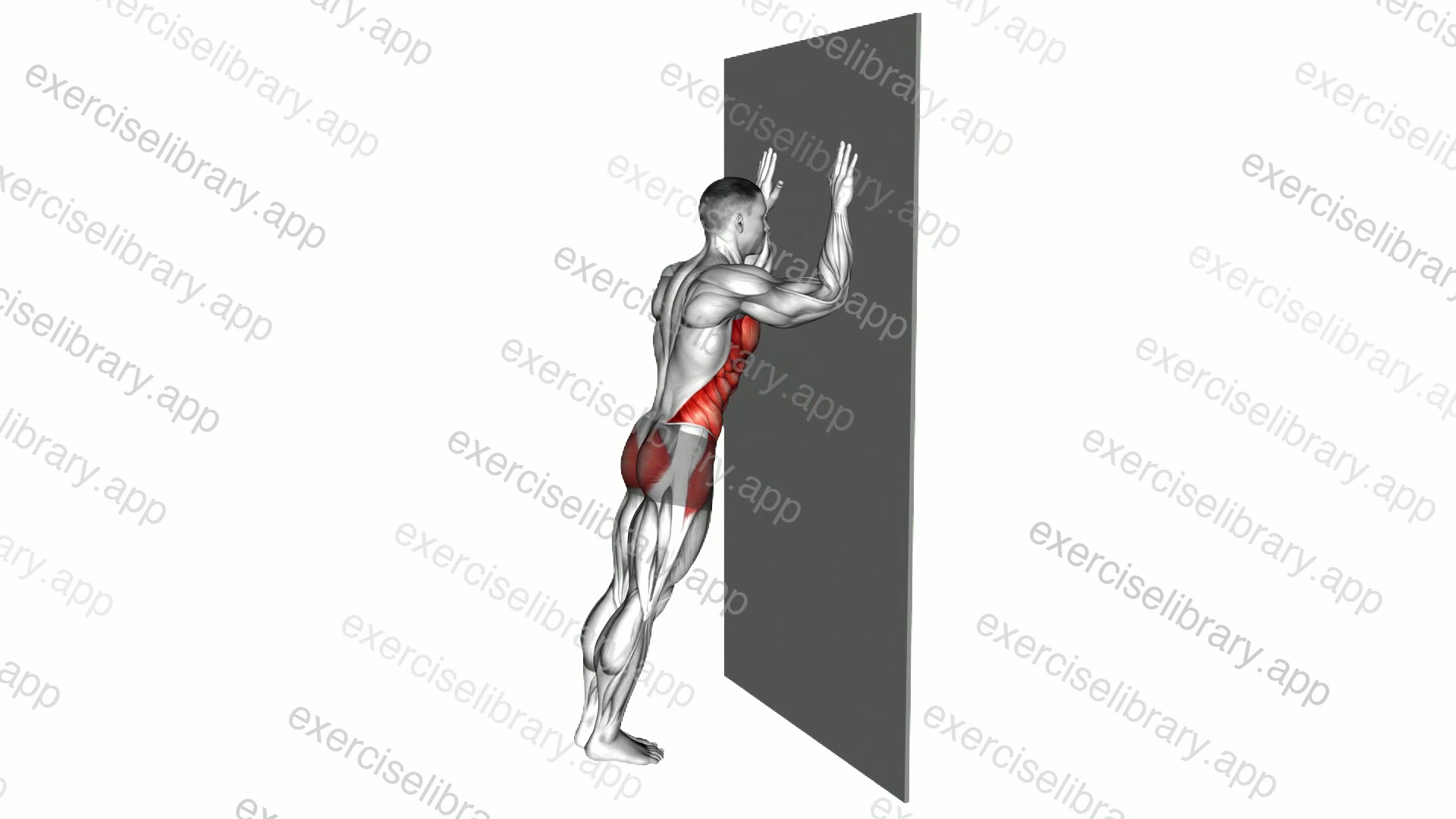 Wall Plank demonstration