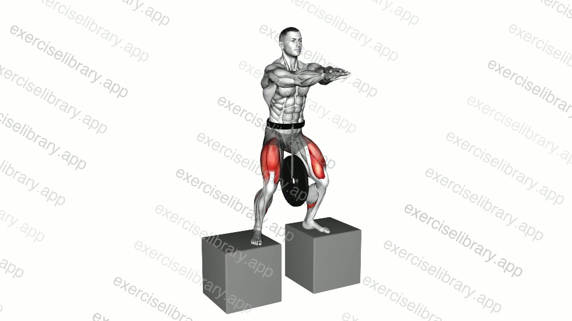 Weighted Full Squat from Deficit demonstration