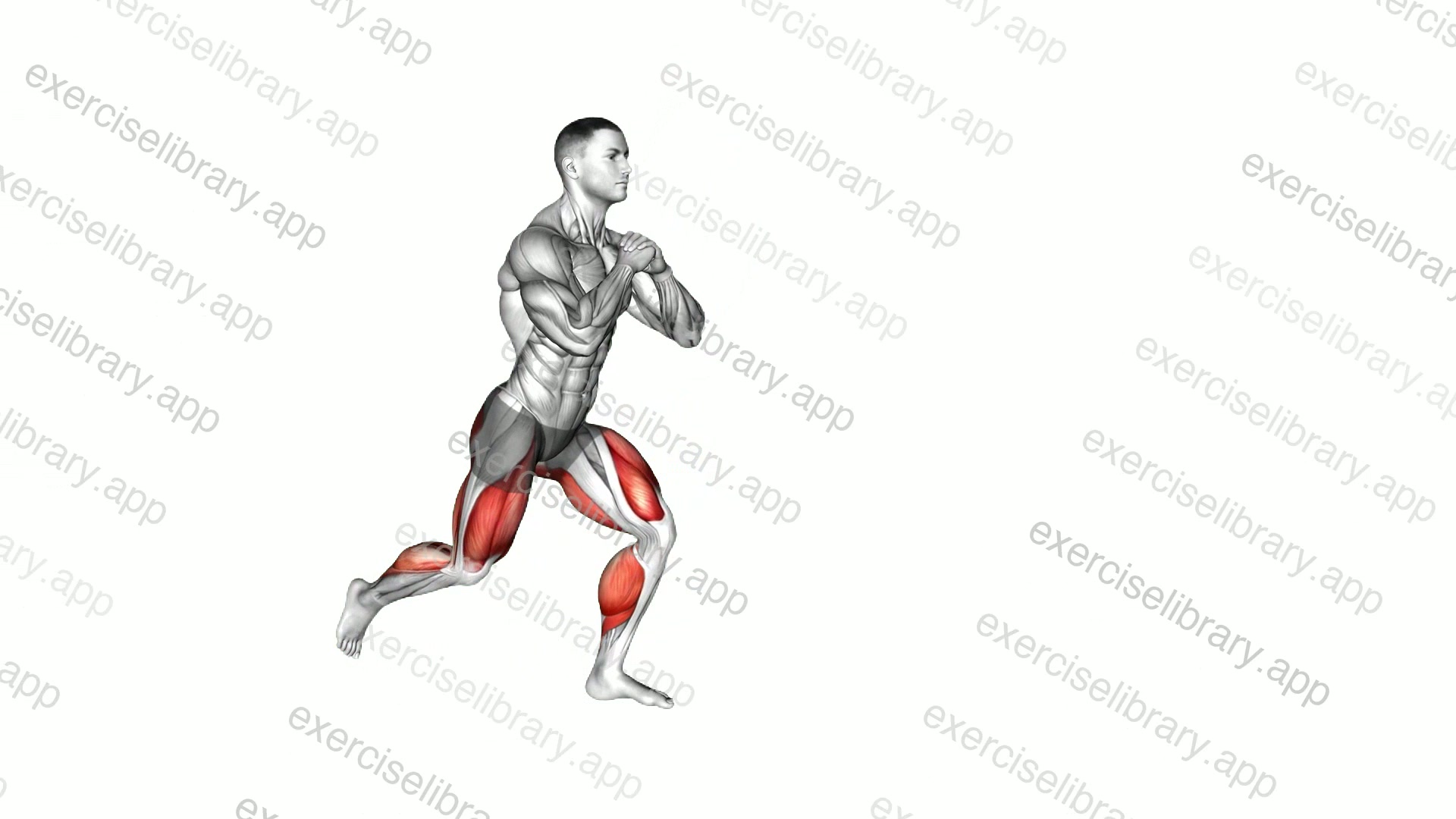 Reverse Lunge High Knee Forward Lunge demonstration