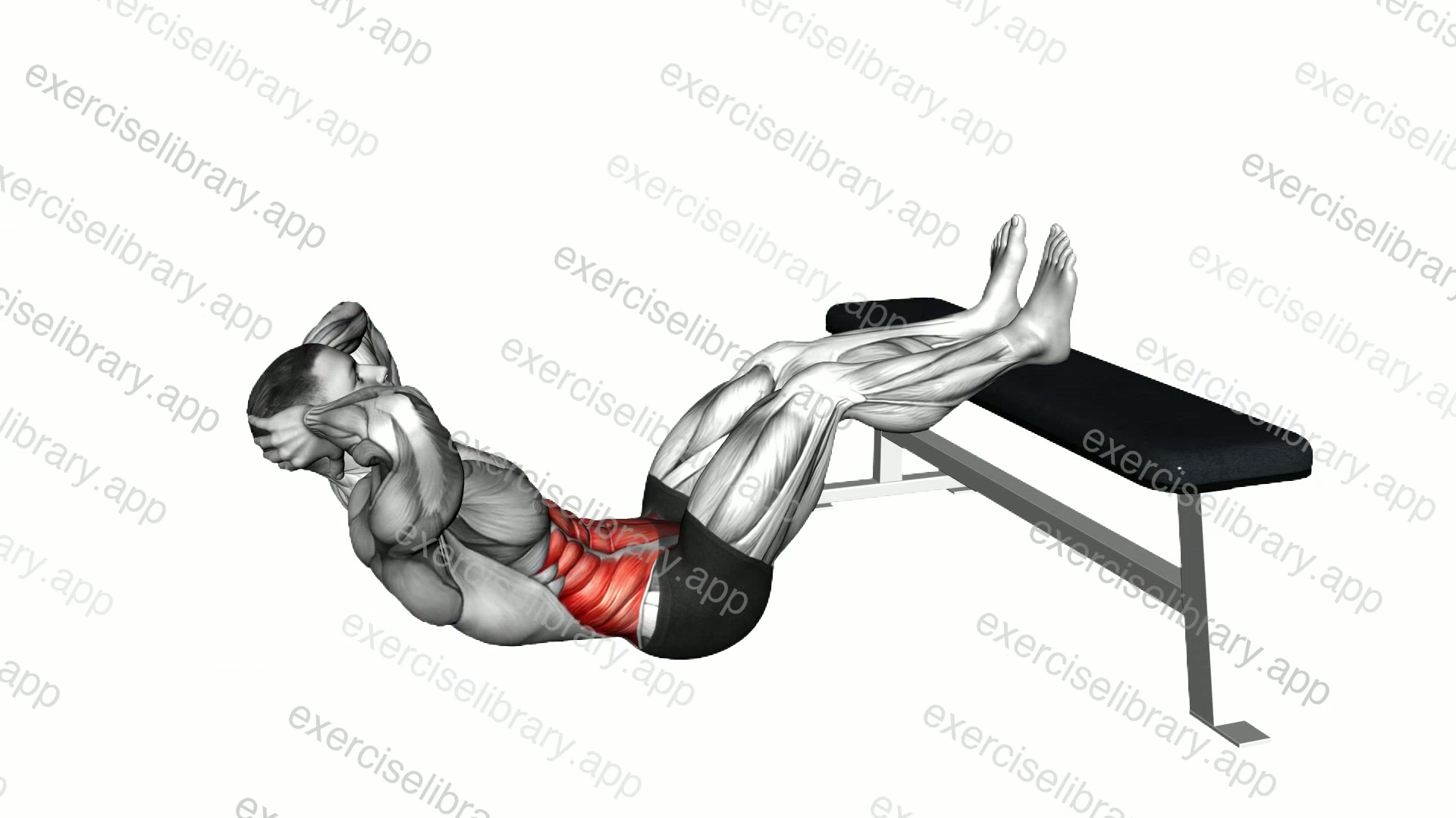 Overhead Sit-up with Legs on Bench demonstration