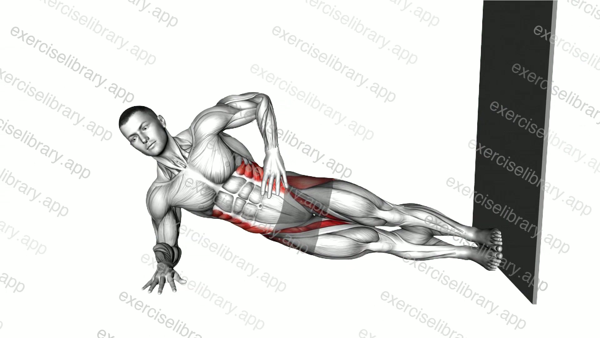 Side Plank Lift against Wall demonstration