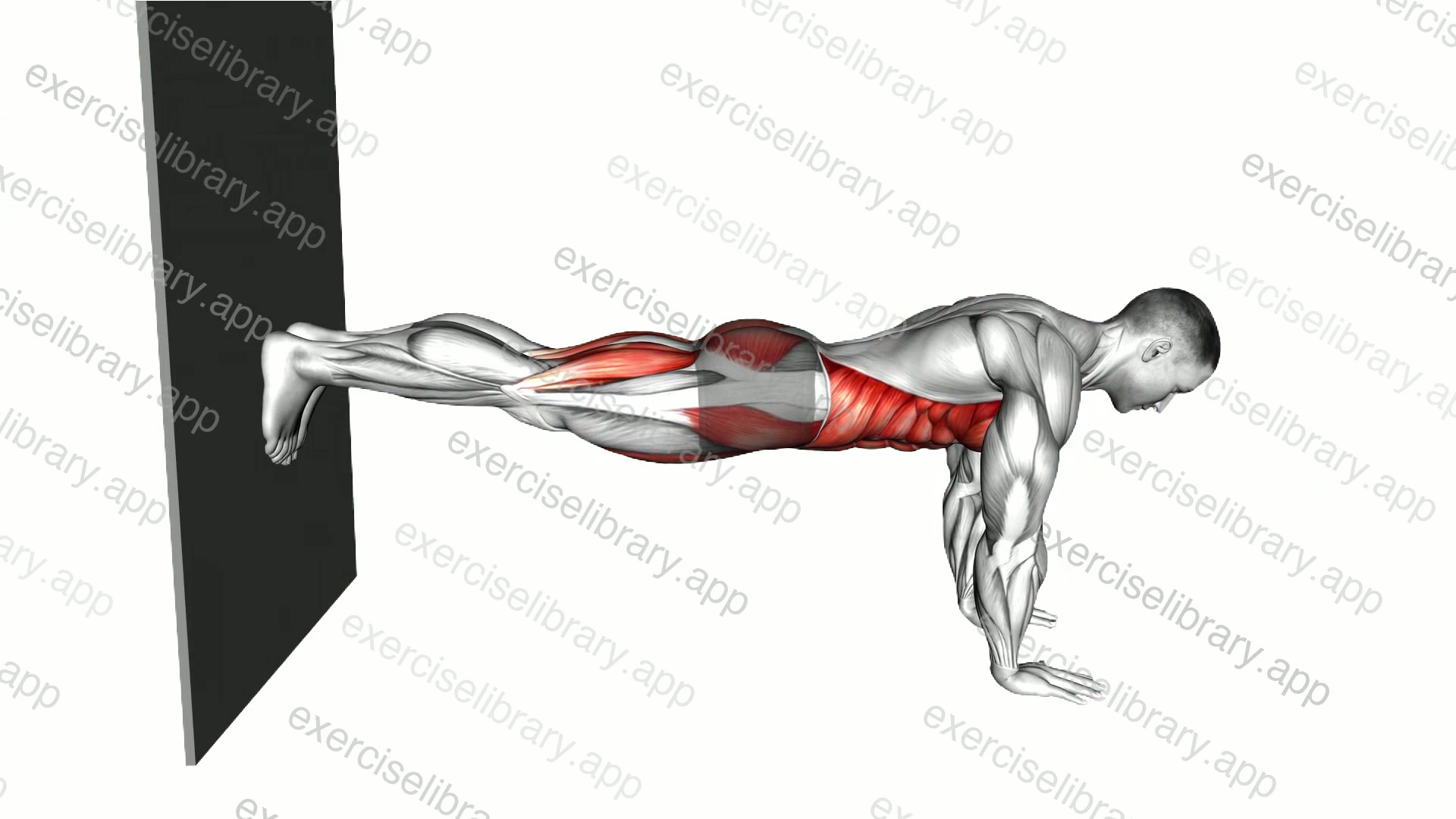 Front Plank against Wall demonstration