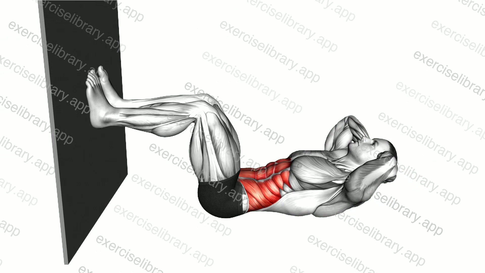 Crunch Bent Knee against Wall demonstration