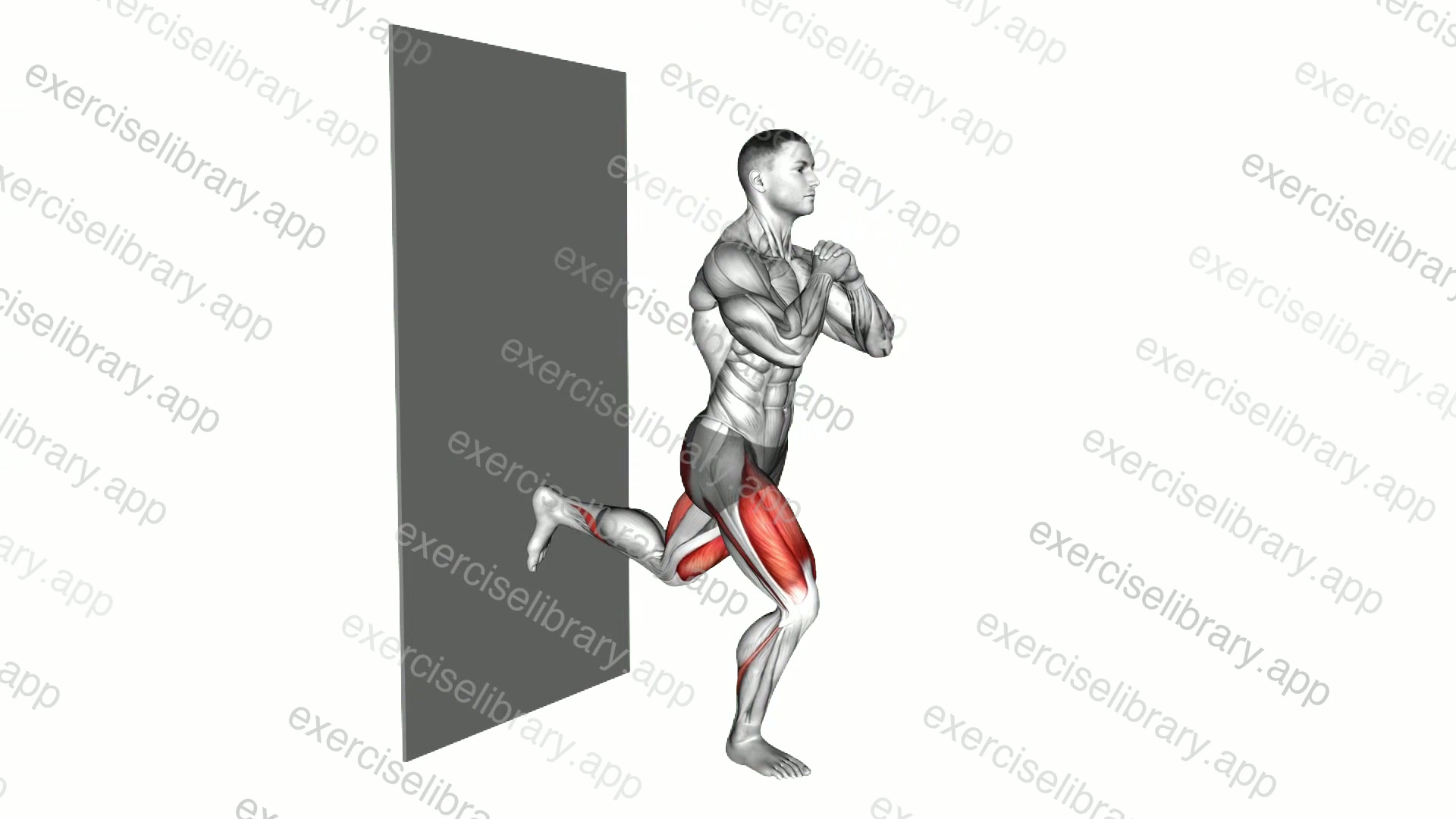 Split Squat against Wall demonstration