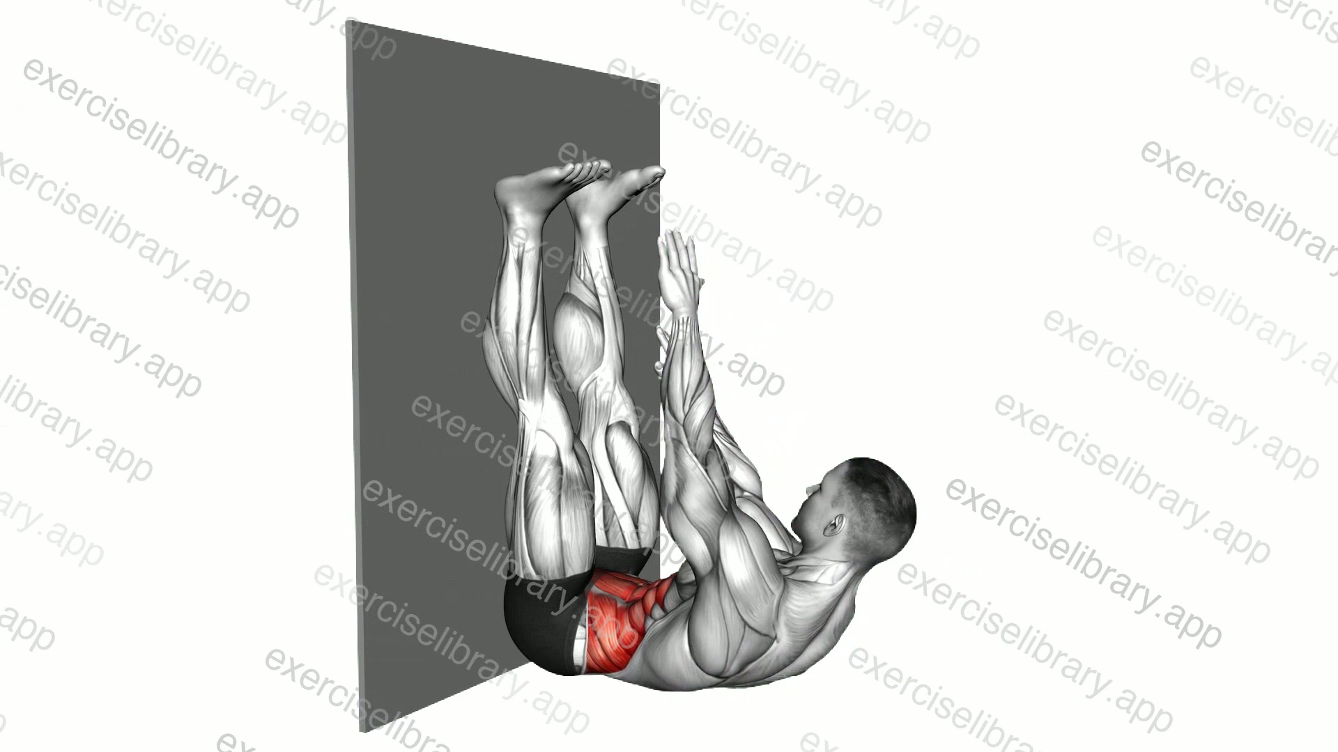 Lying Twist Toe Touch against Wall demonstration