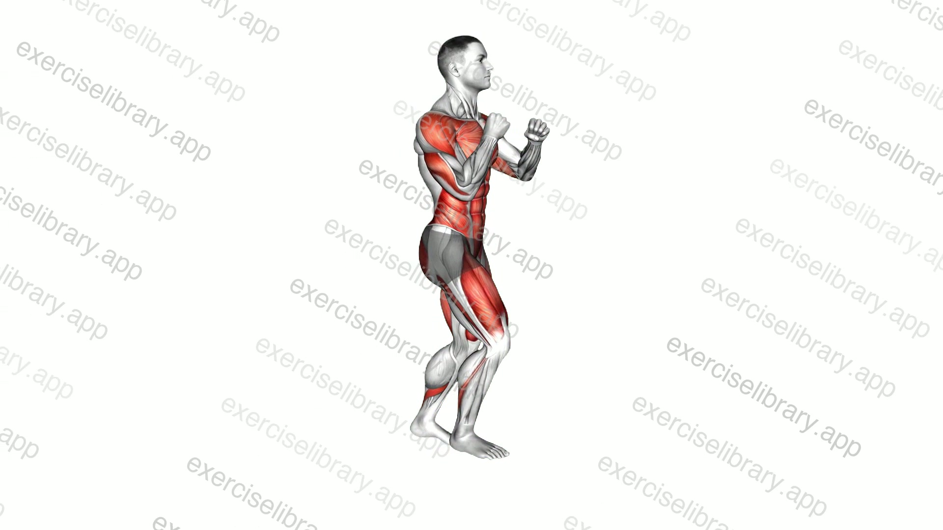 Forward Lunge Punch demonstration