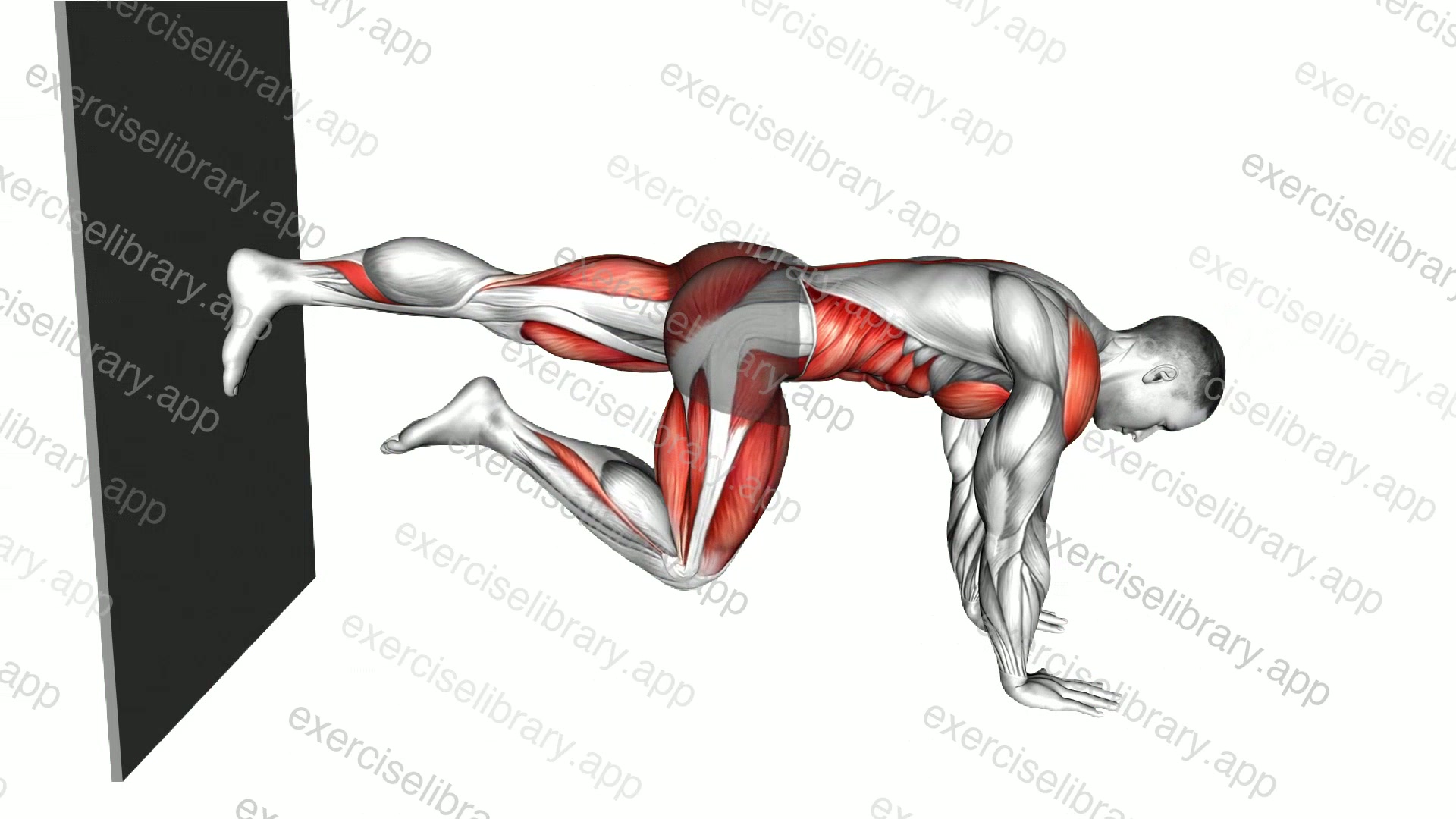 Mountain Climber against Wall demonstration