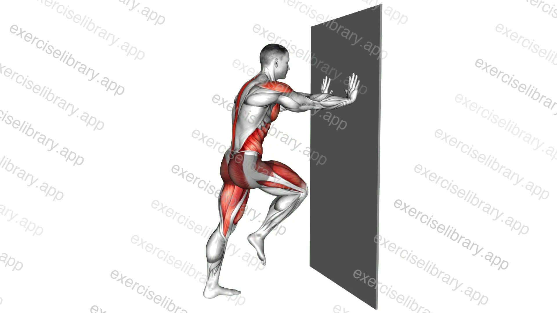 Cross Mountain Climber against Wall demonstration