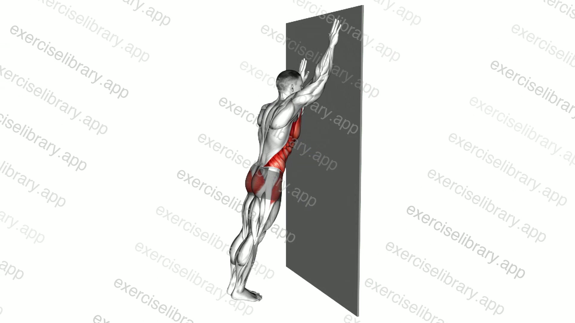Long Plank against Wall demonstration
