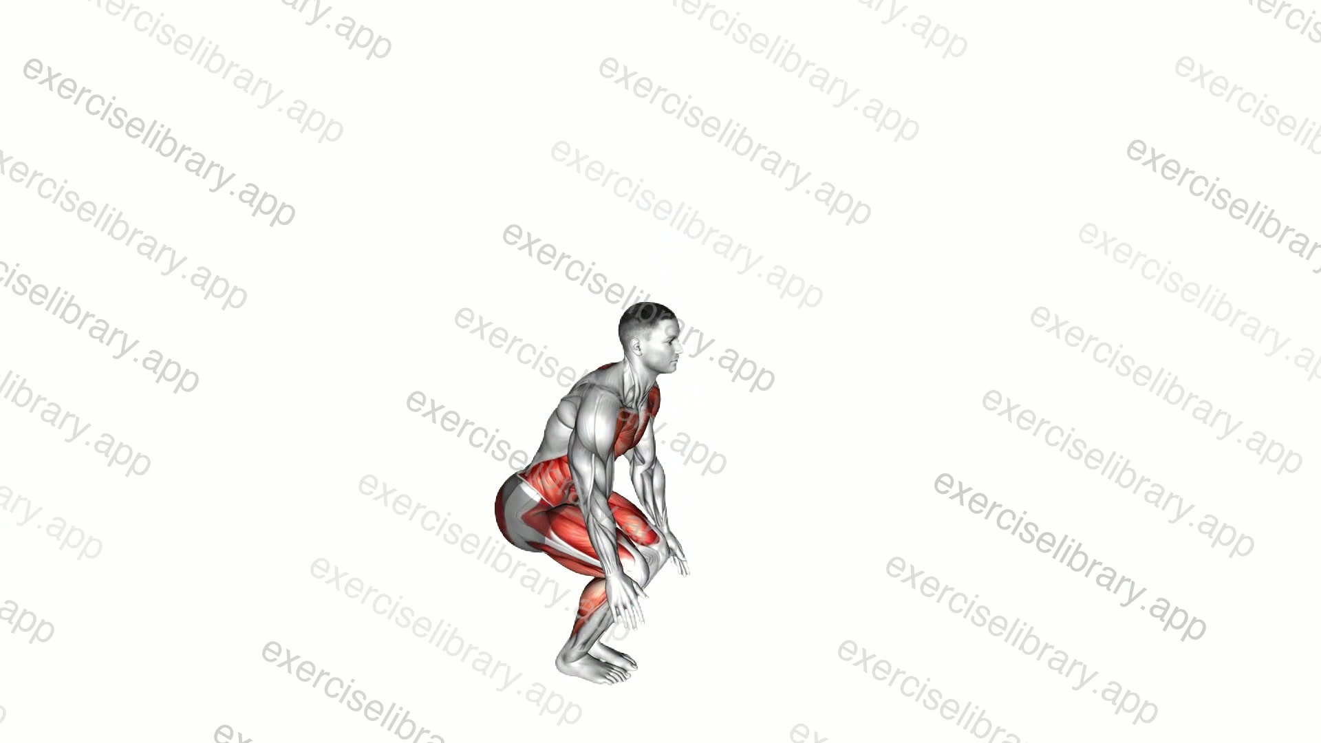 Mountain Climber Burpee demonstration