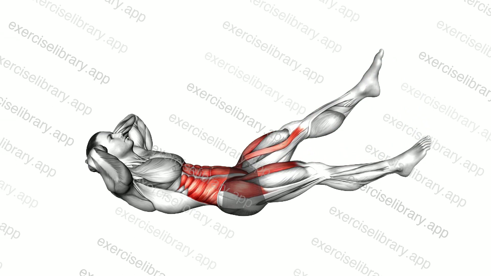 Alternate Leg Raise with Head-up demonstration