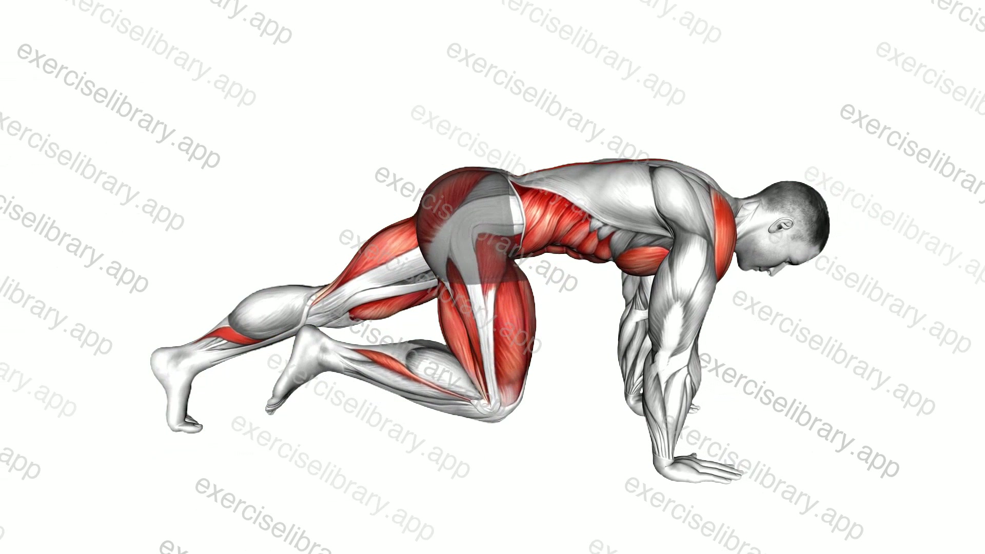 Mountain Climber Low Lunge demonstration