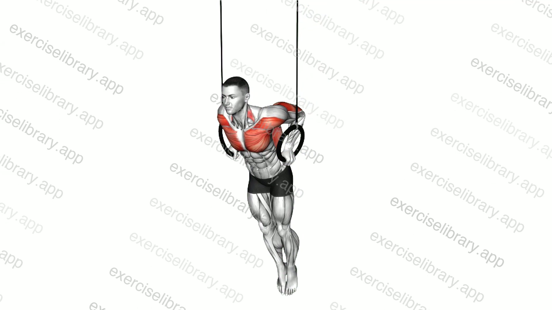 Ring Support Hold demonstration