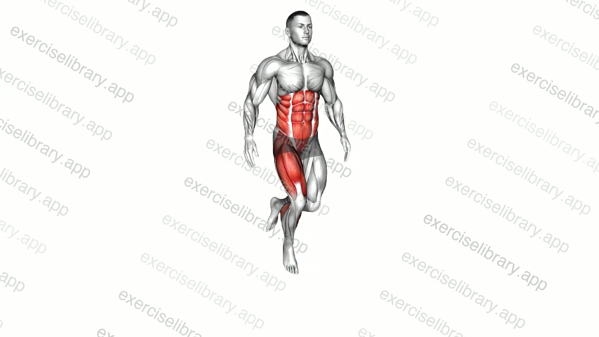 Single Leg Lateral Hop demonstration