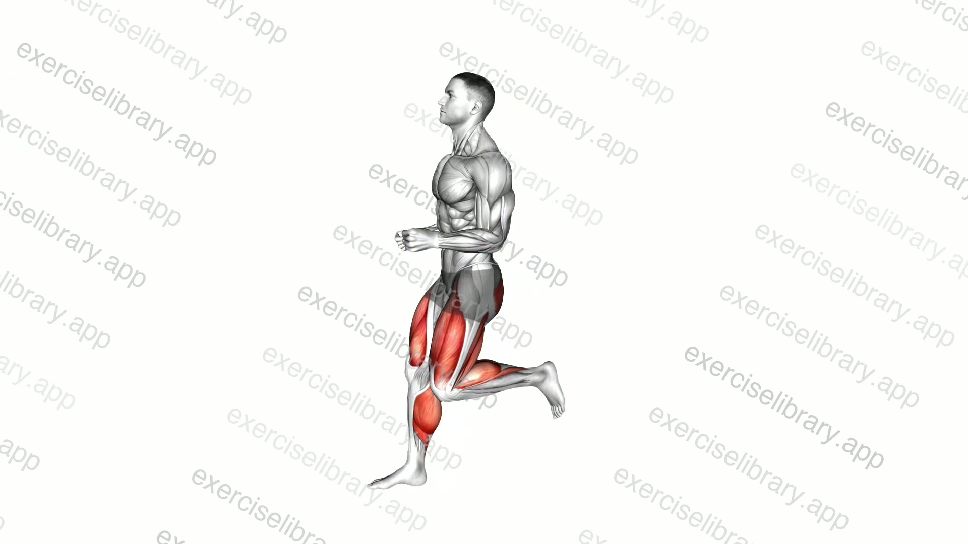 Backward Run demonstration