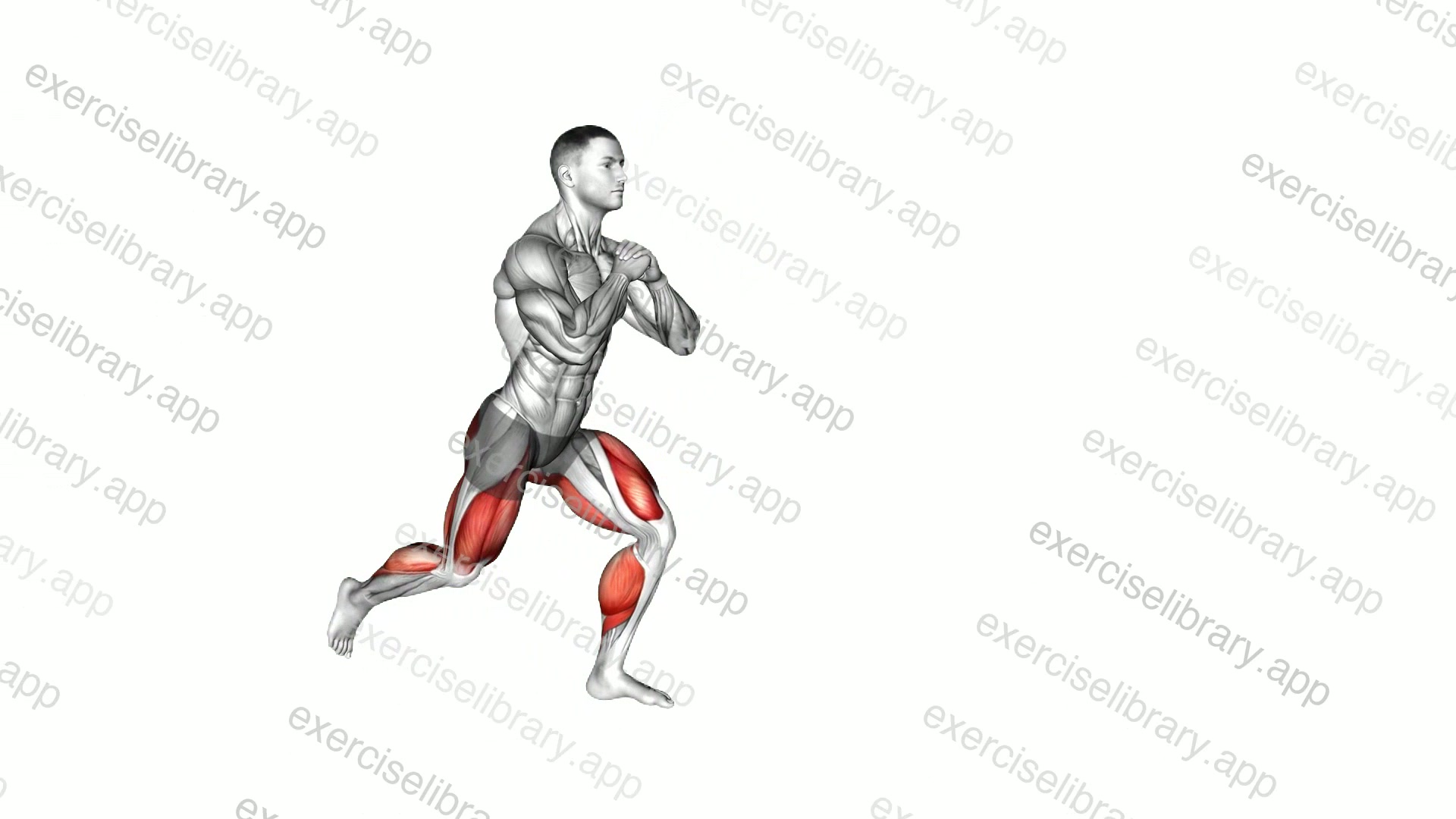 Reverse Lunge Forward Lunge demonstration