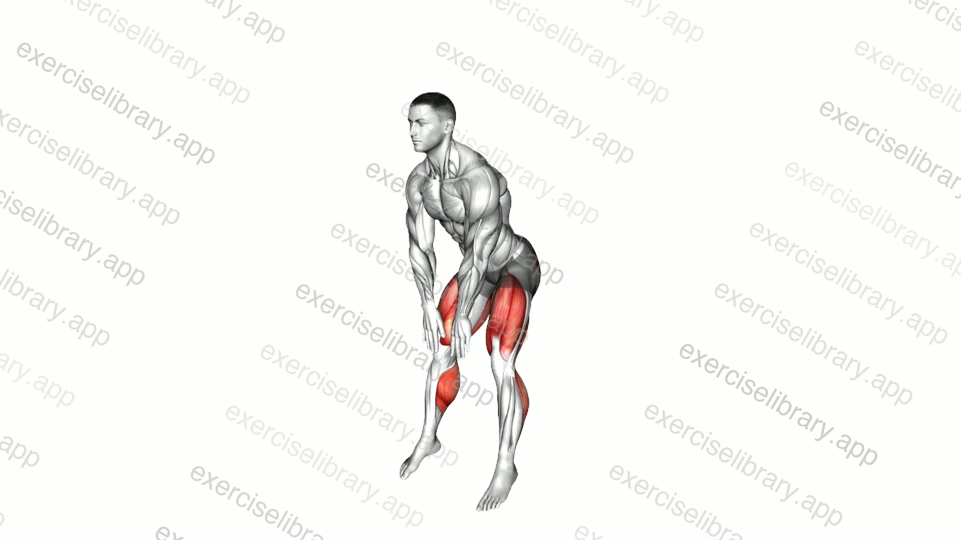 Deadlift Jump demonstration