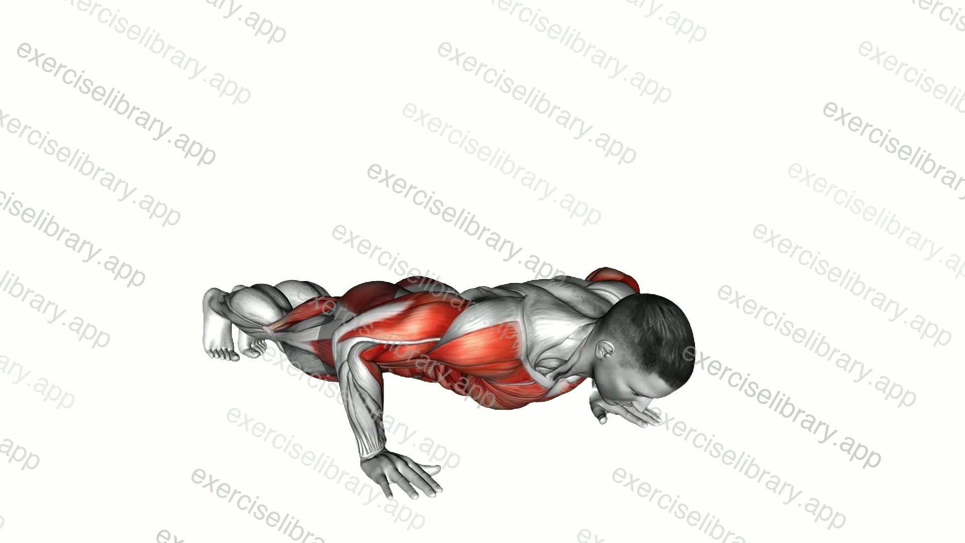 Rotational Push-up Knee Tap demonstration