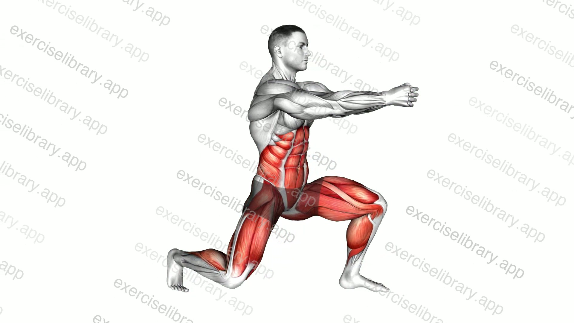 Static Lunge Rotational Chop demonstration