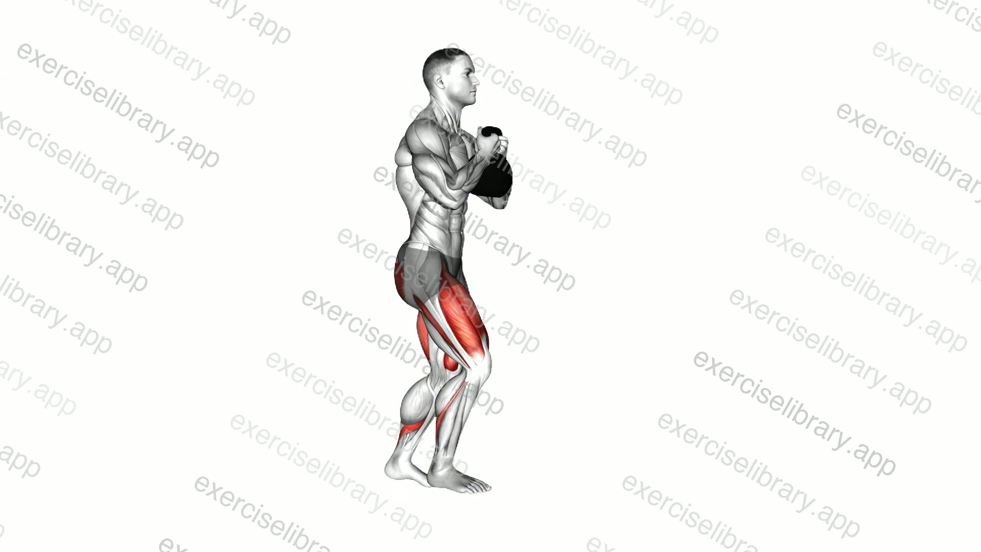 Kettlebell Forward Lunge demonstration