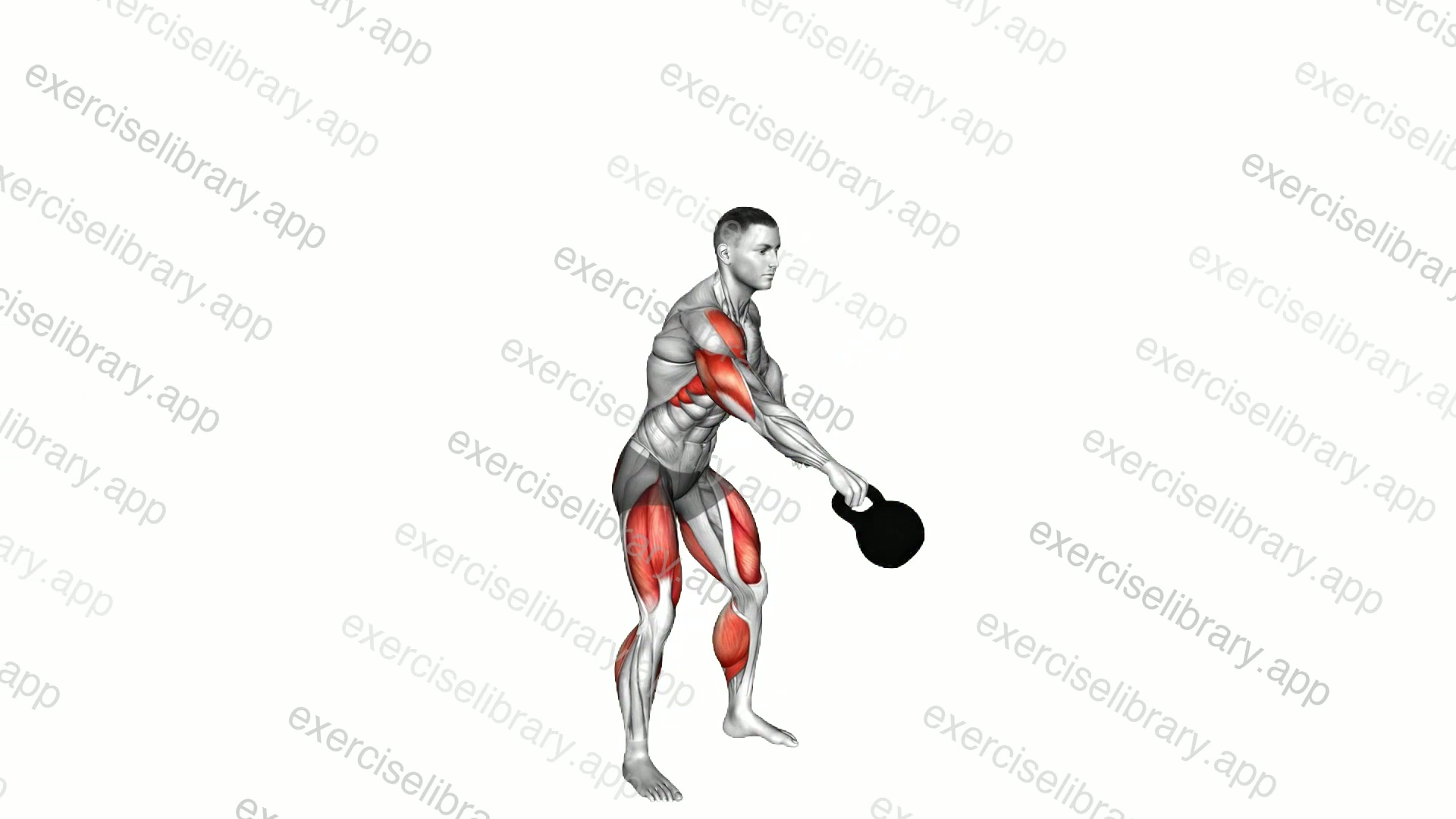 Kettlebell Snatch and Swing demonstration