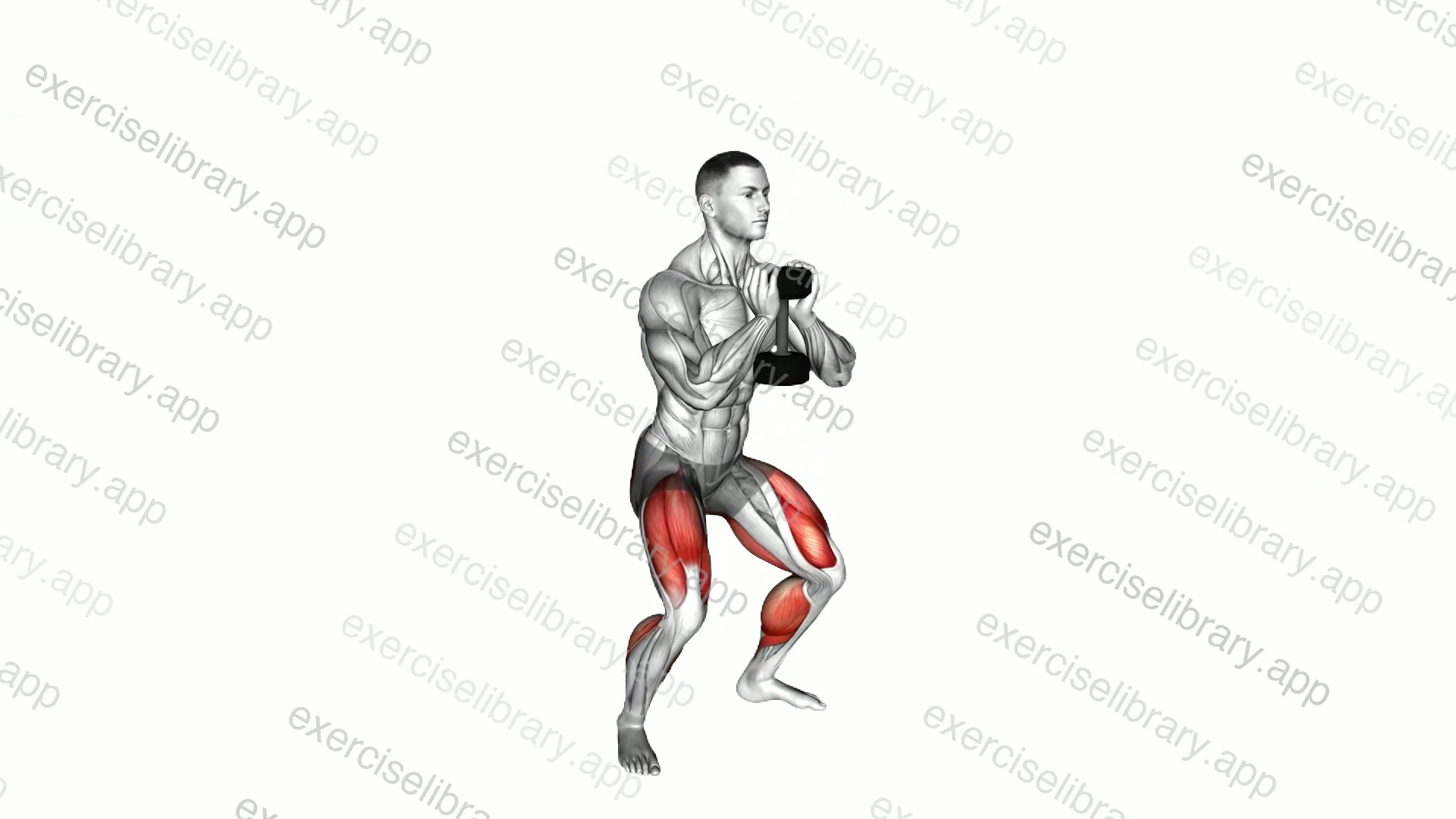 Dumbbell Goblet Squat with Calf Raise demonstration