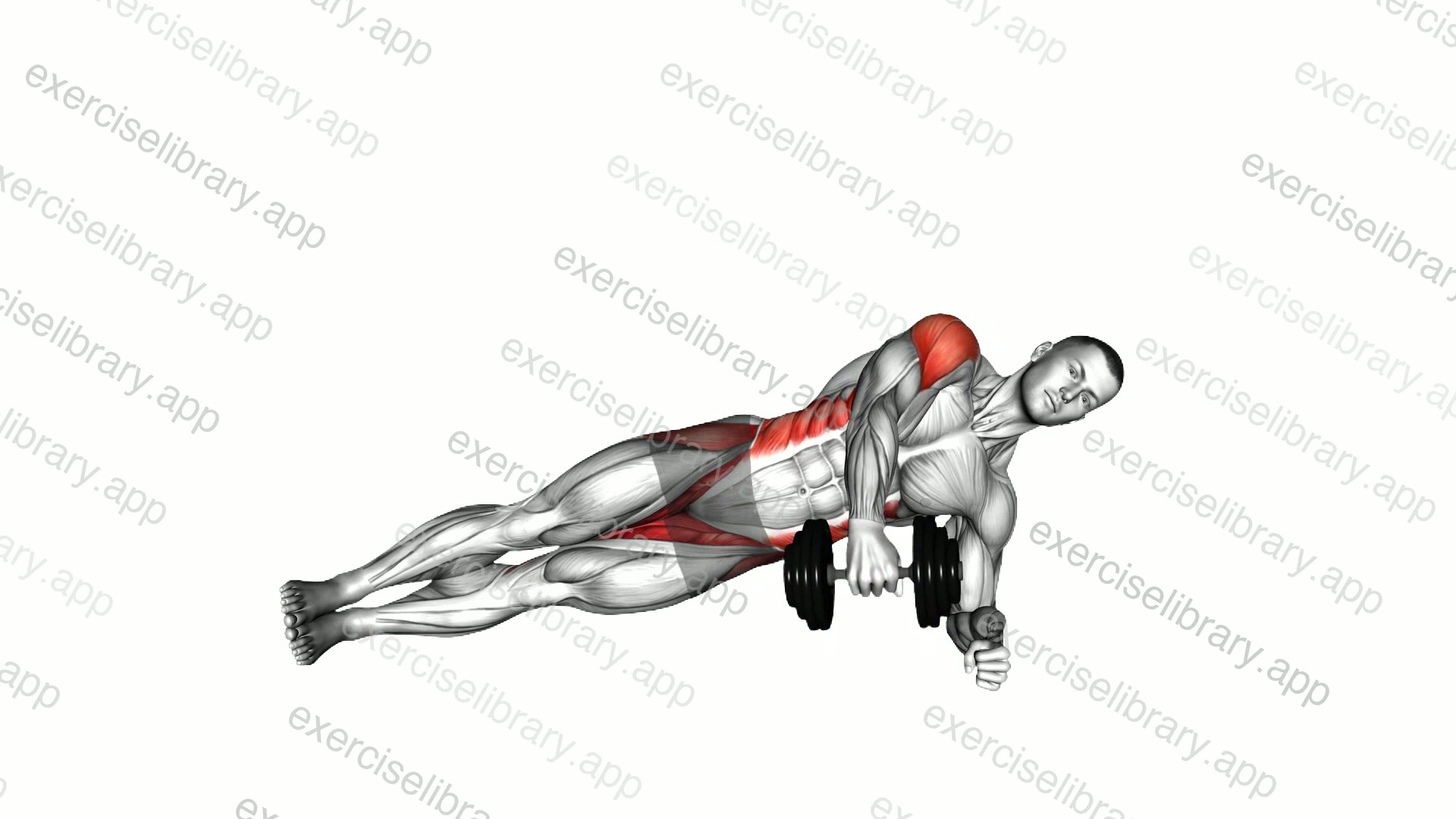Dumbbell Side Plank Raise demonstration